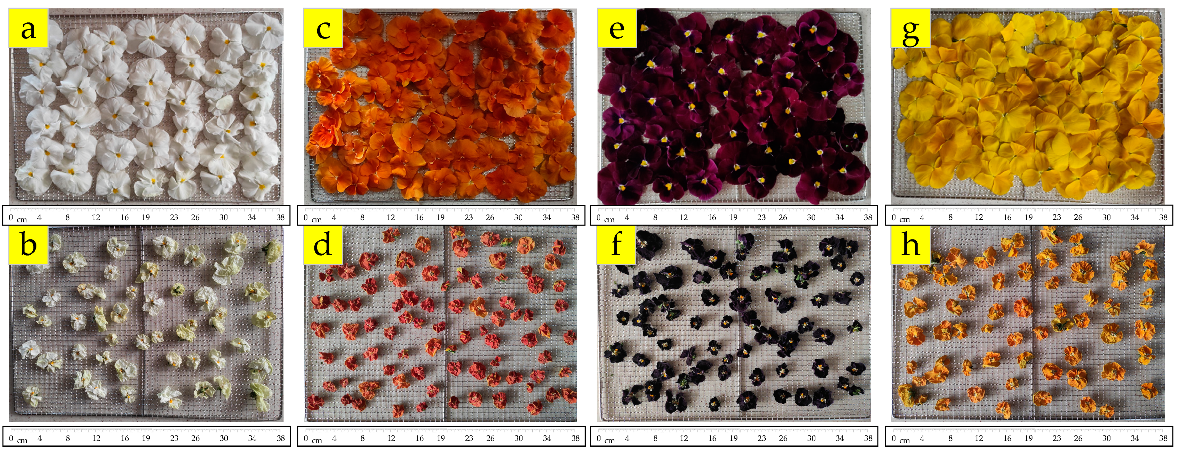 Horticulturae 09 00186 g002