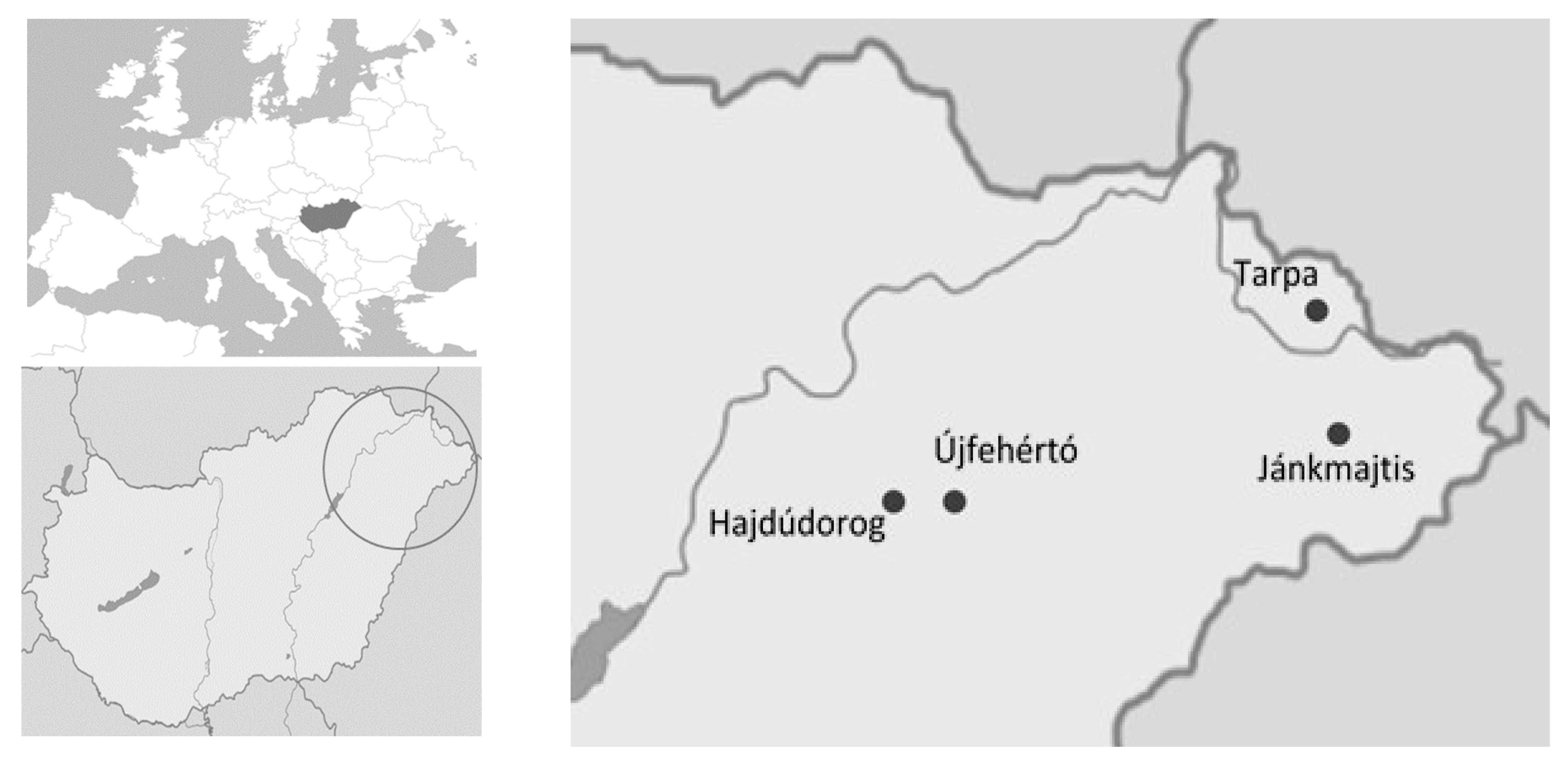 Horticulturae 09 00205 g001