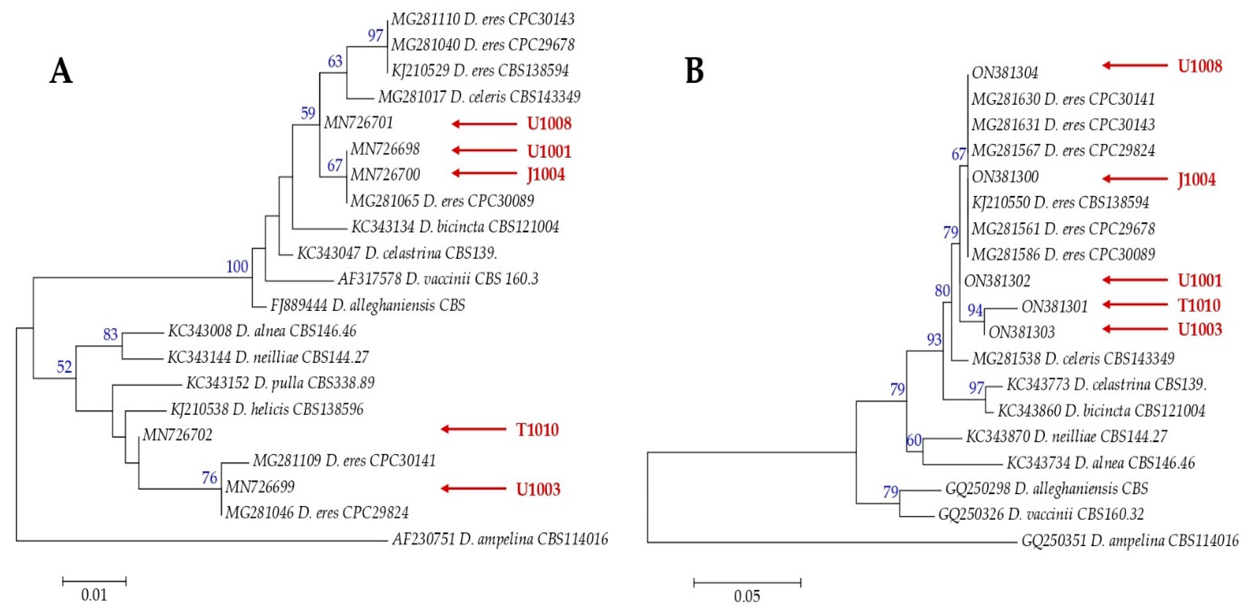 Horticulturae 09 00205 g005