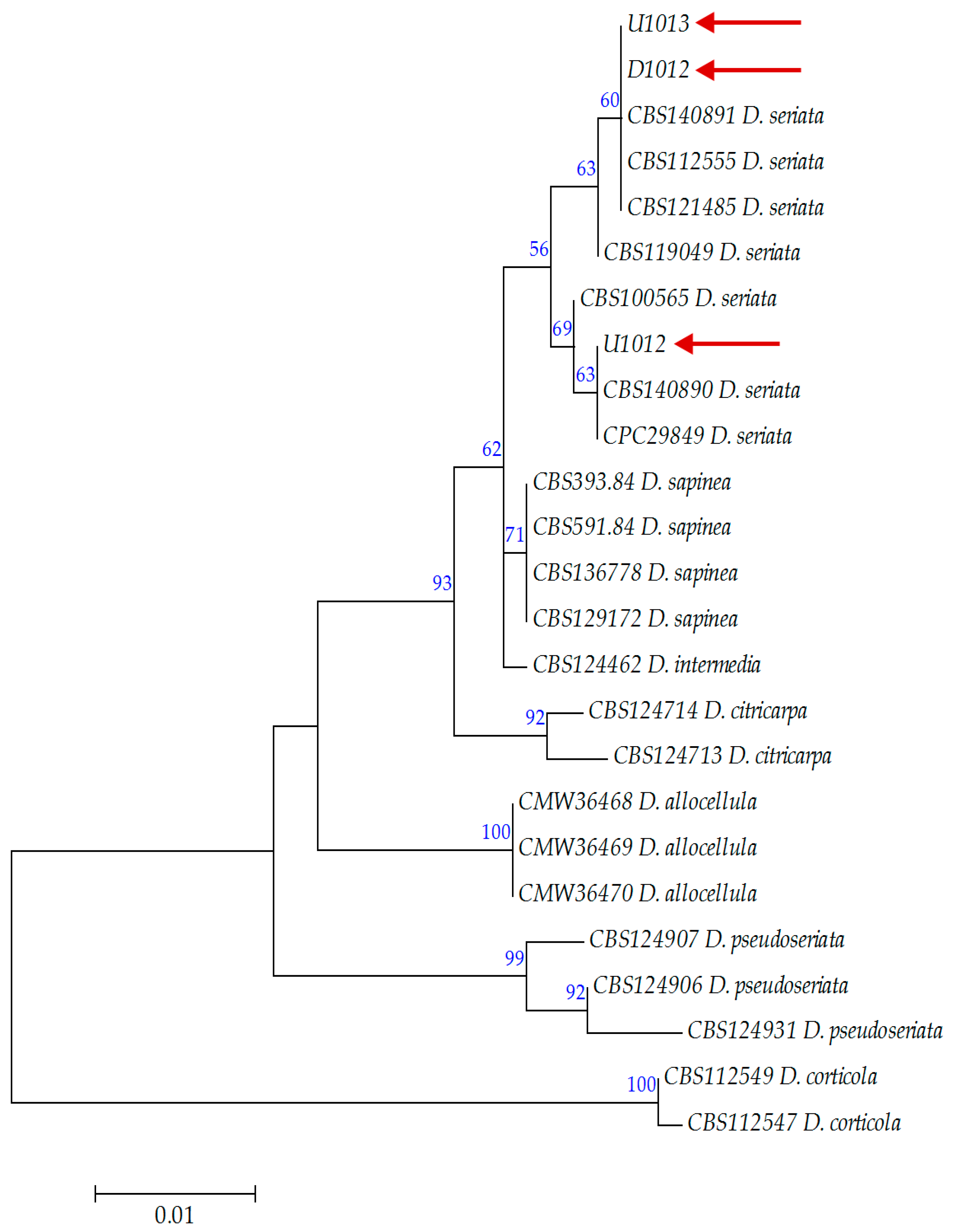 Horticulturae 09 00205 g006