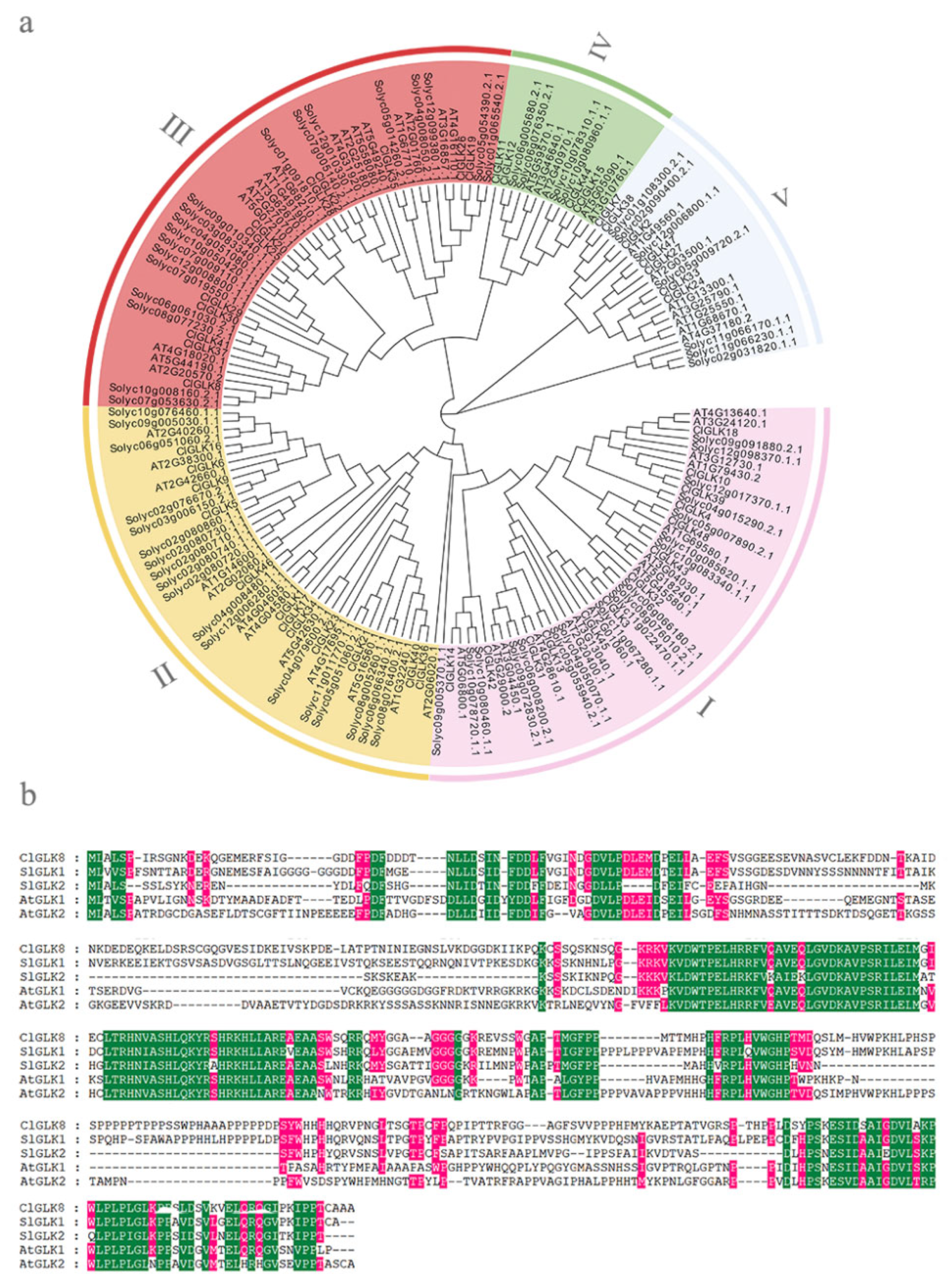 Horticulturae 09 00229 g002