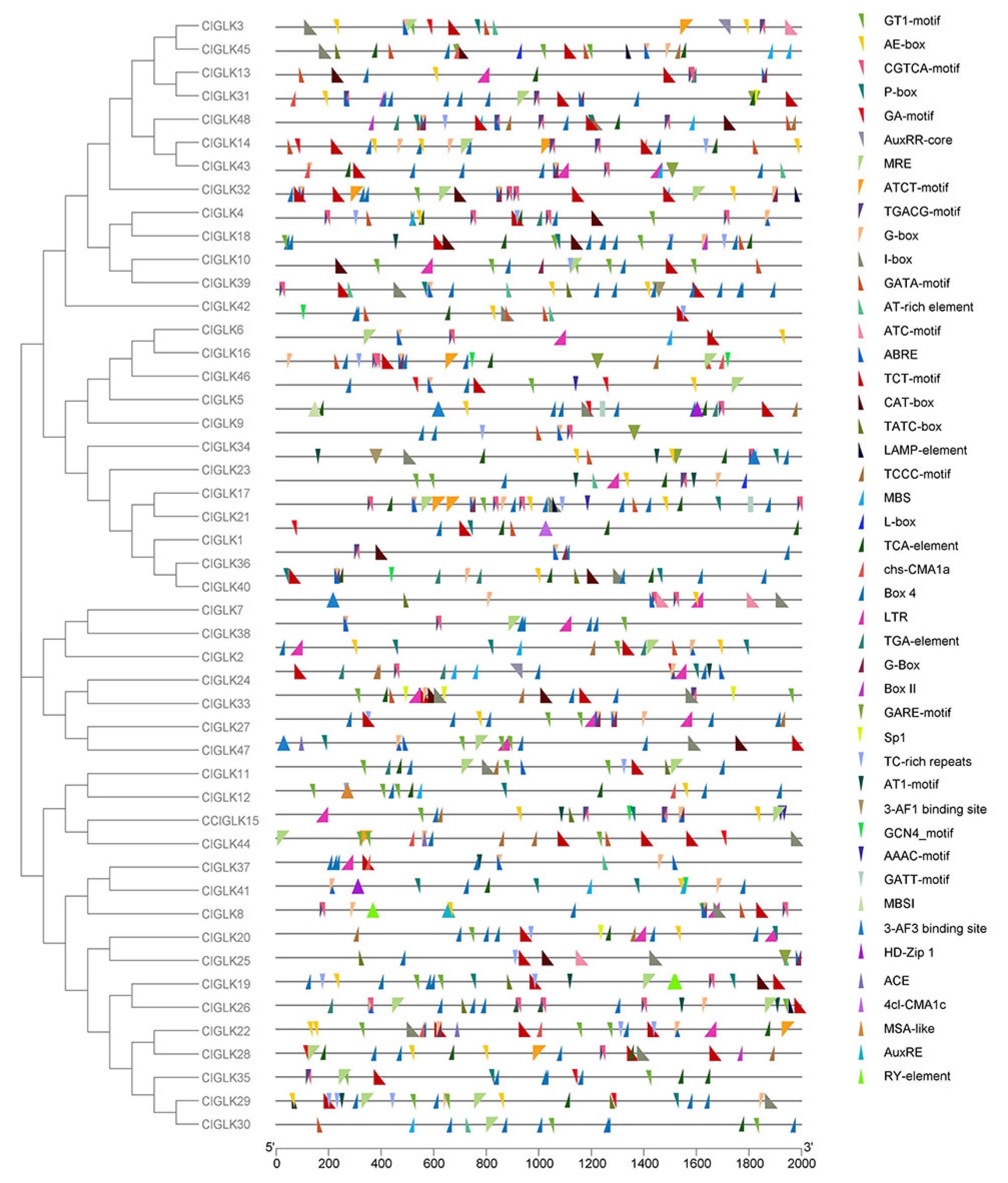 Horticulturae 09 00229 g003