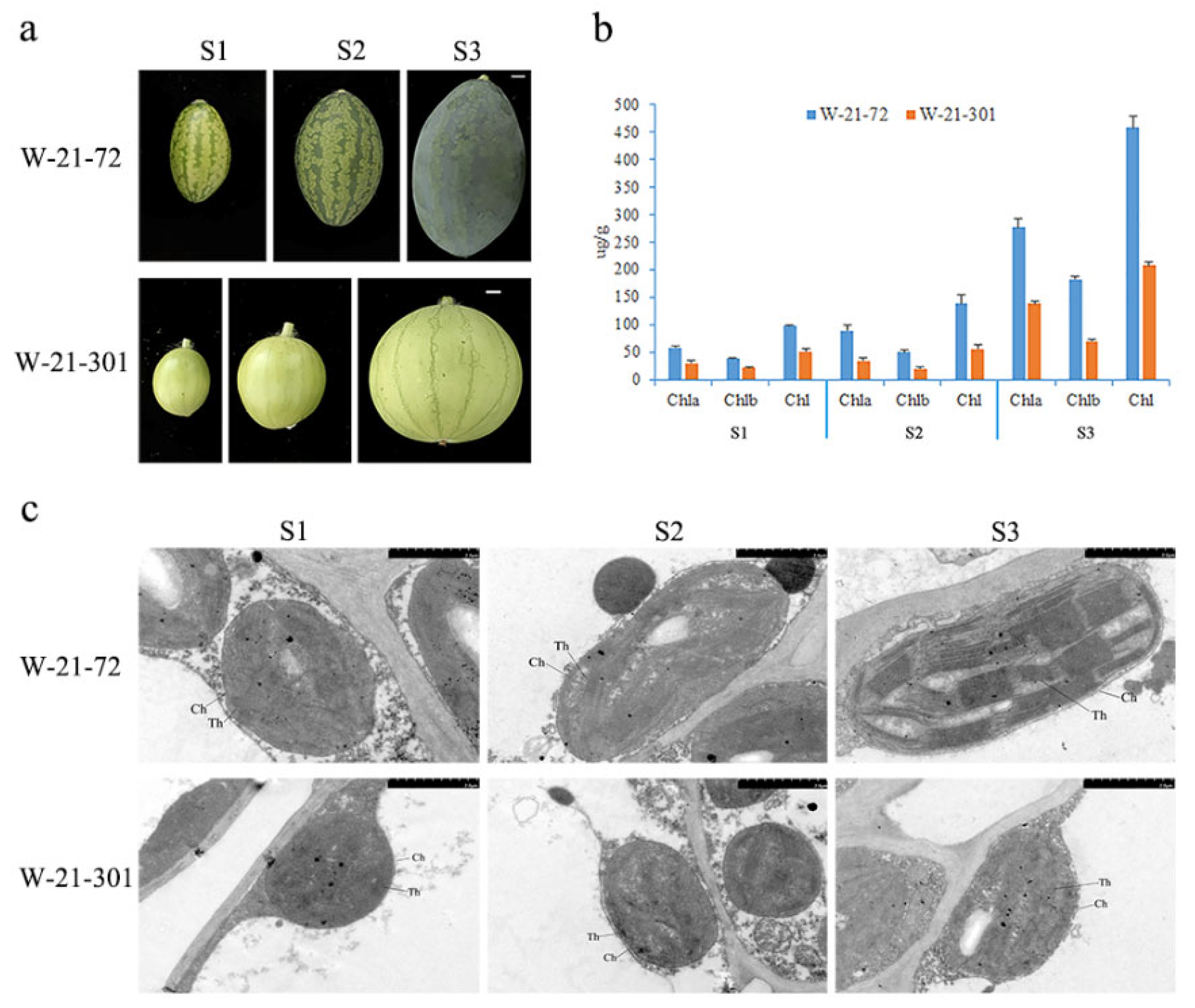 Horticulturae 09 00229 g005