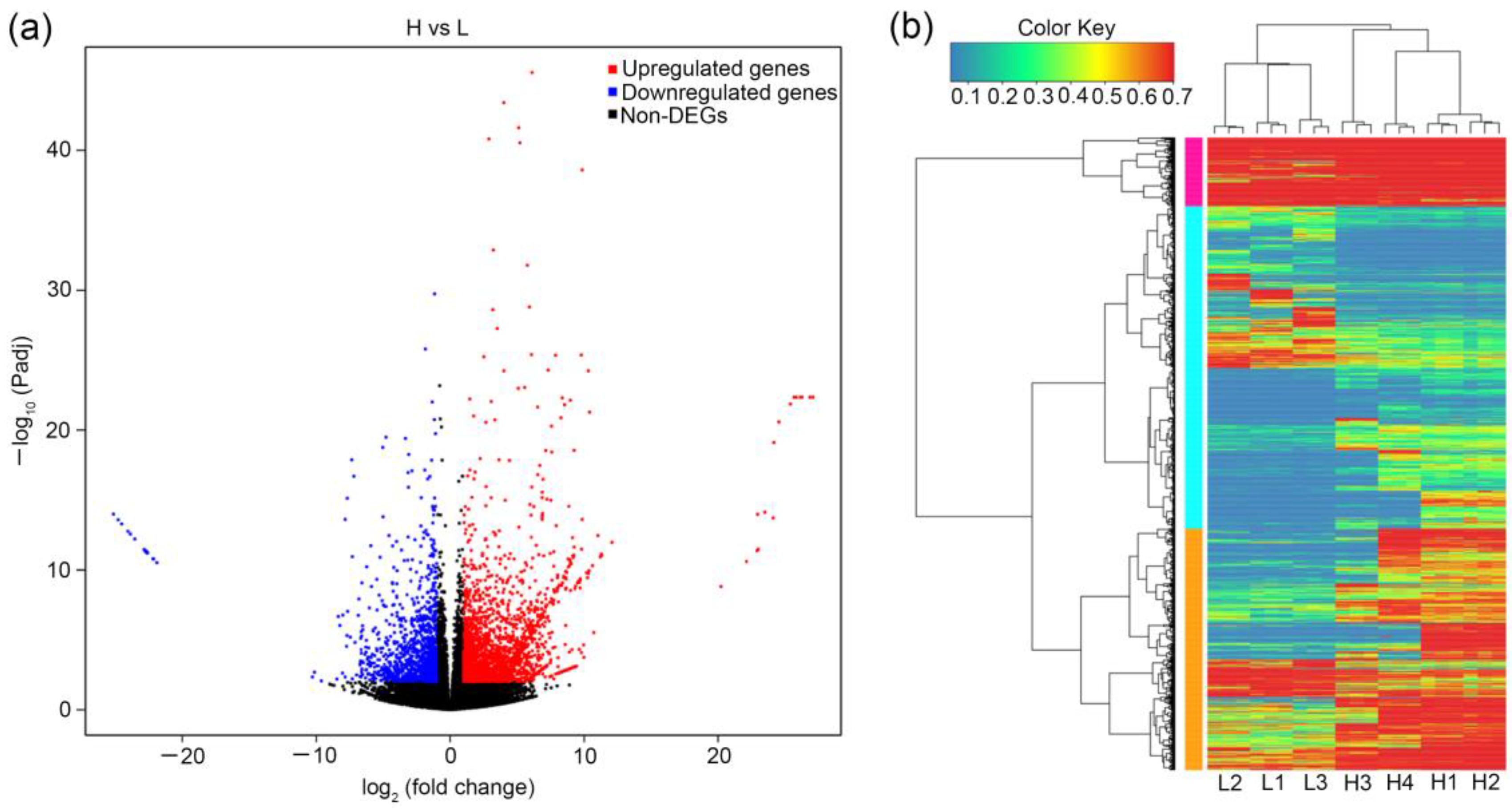 Horticulturae 09 00232 g002