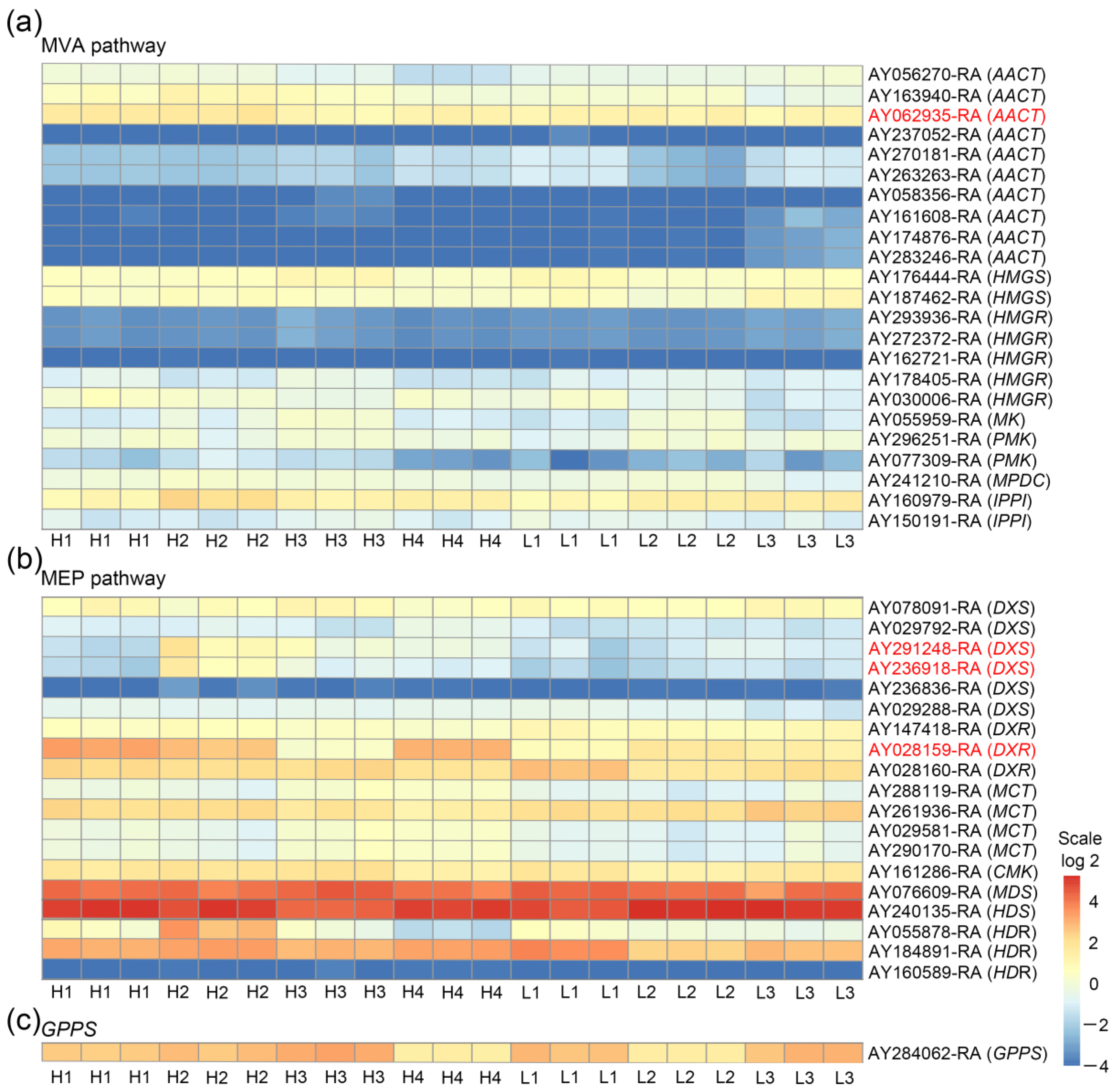 Horticulturae 09 00232 g003
