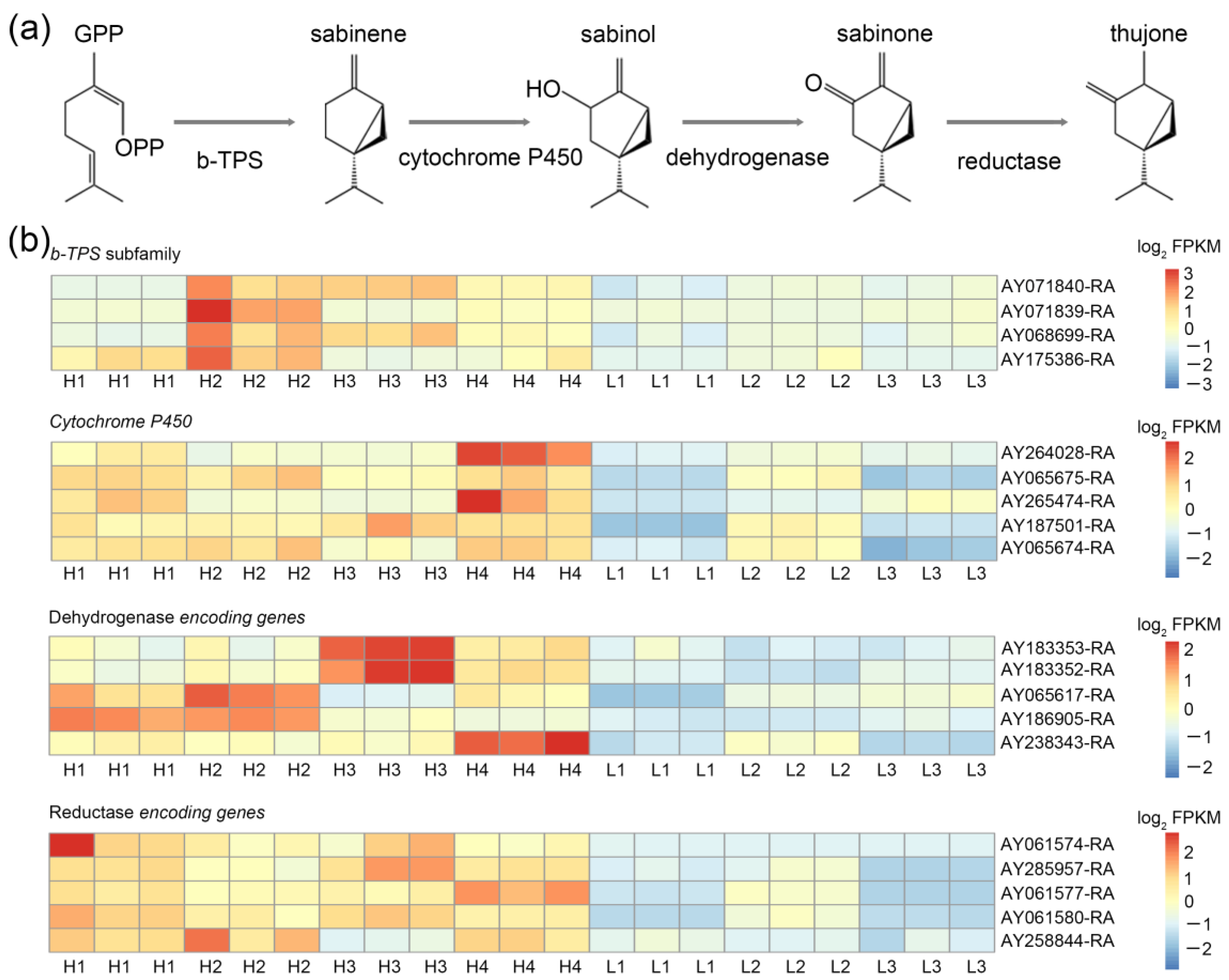 Horticulturae 09 00232 g004