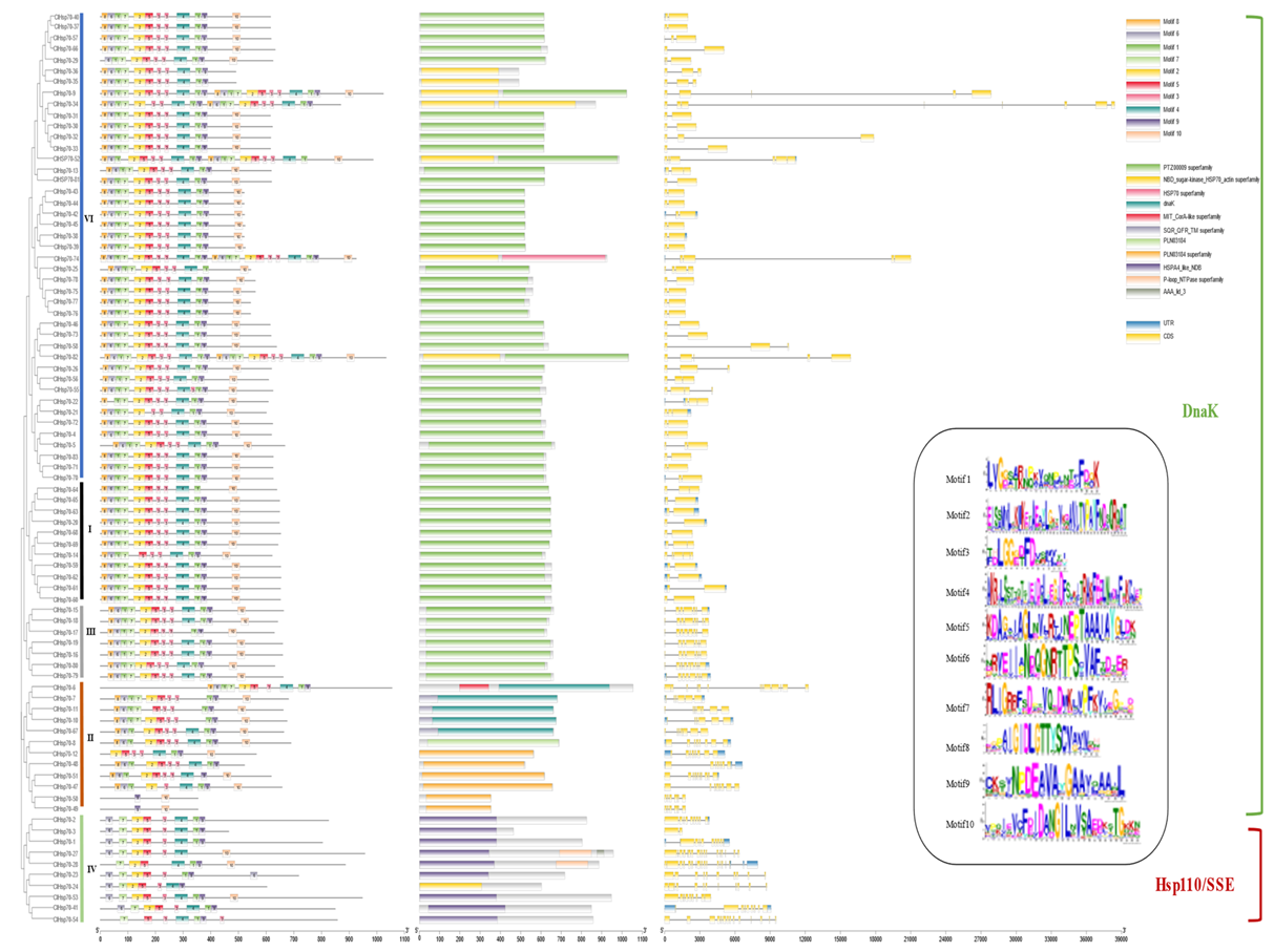 Horticulturae 09 00238 g004 Horticulturae 09 00238 g004