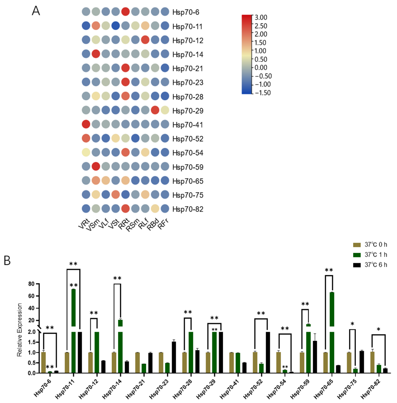 Horticulturae 09 00238 g006 Horticulturae 09 00238 g006