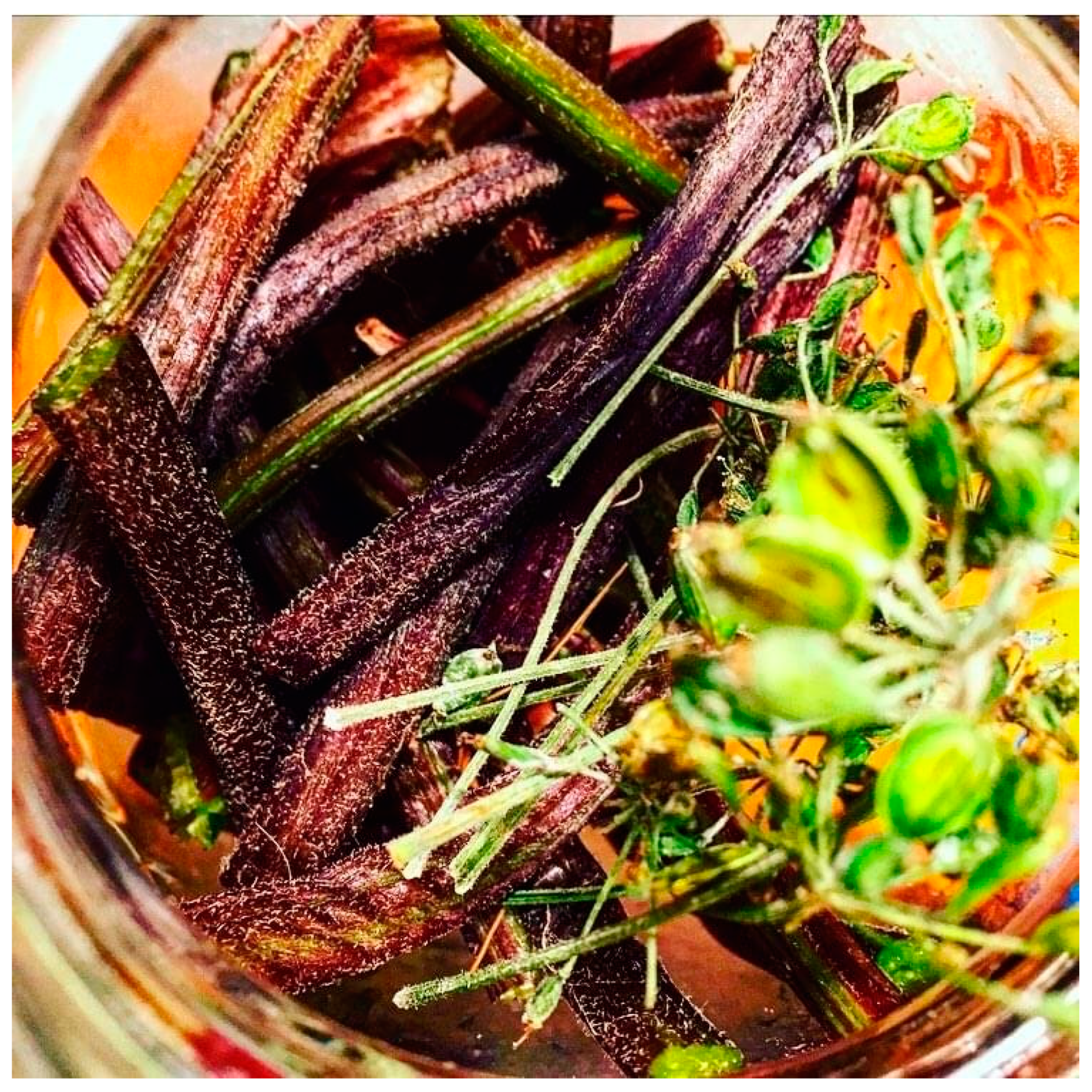 Horticulturae 09 00246 g006