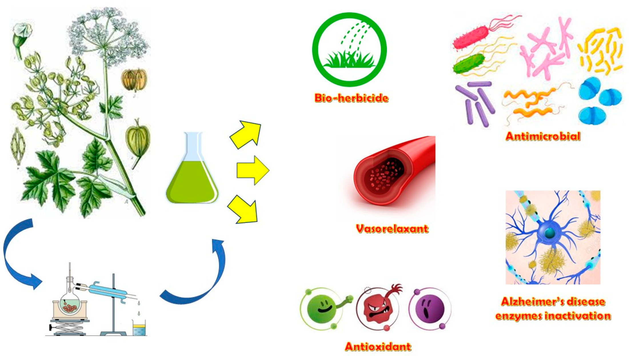 Horticulturae 09 00246 g008