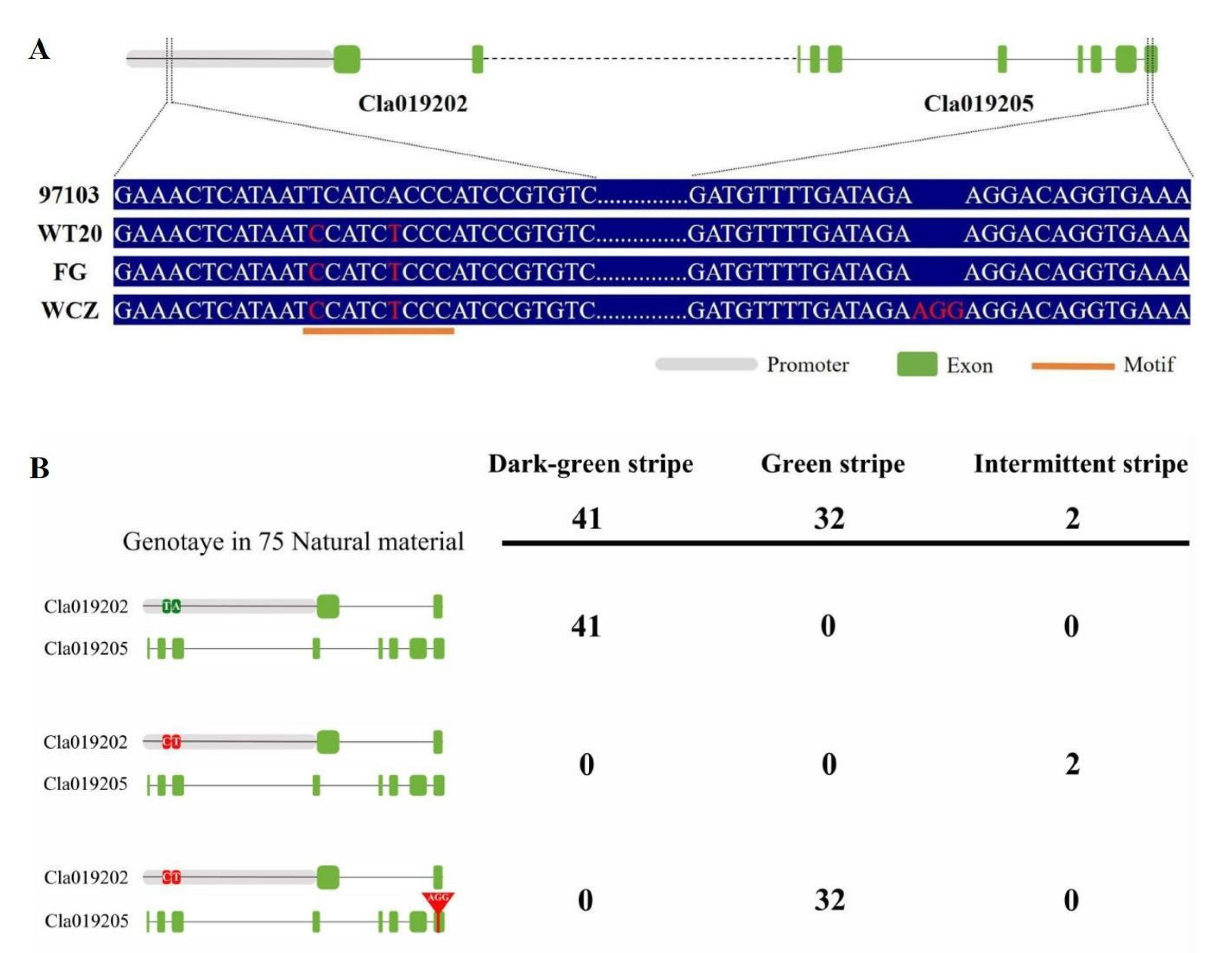 Horticulturae 09 00263 g004