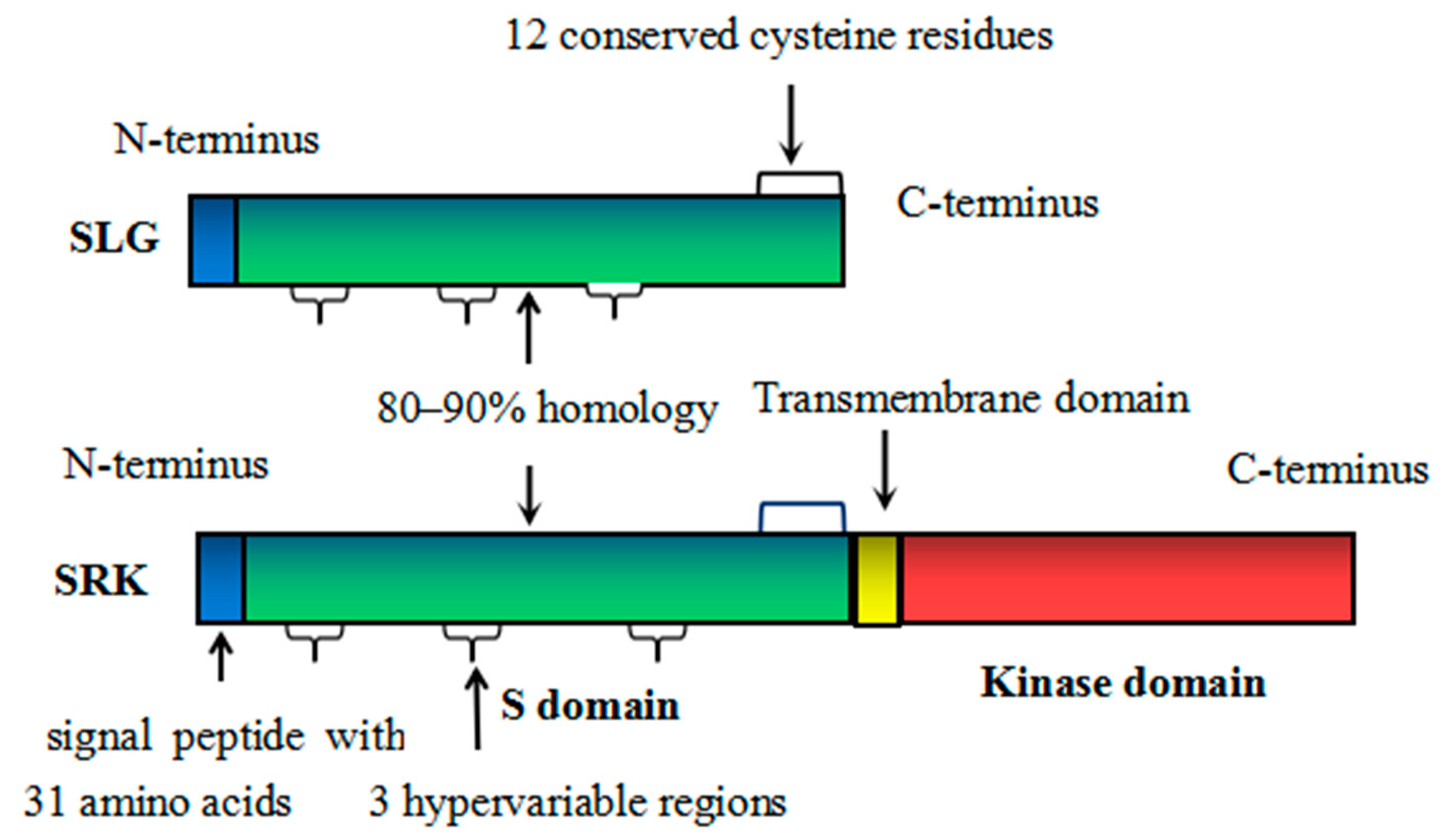 Horticulturae 09 00265 g001