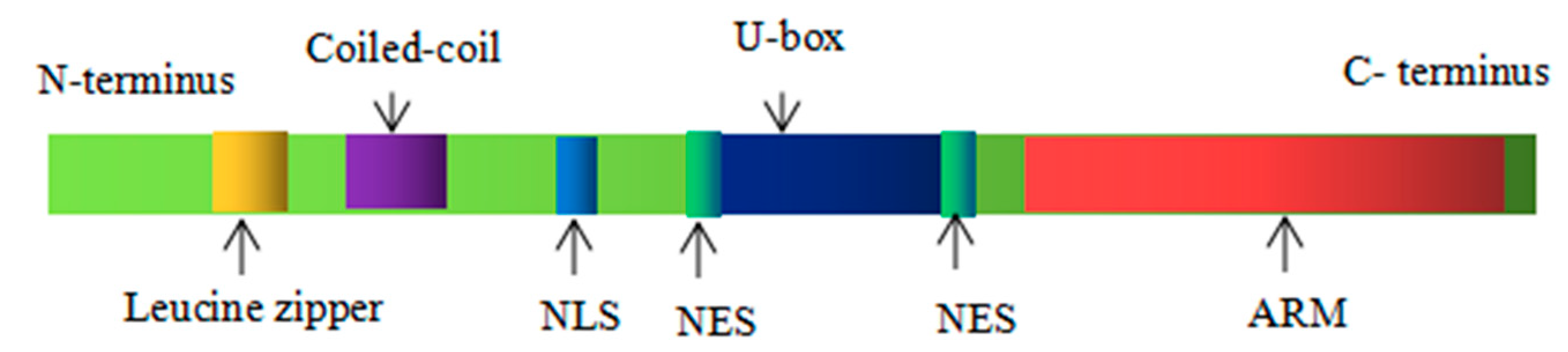 Horticulturae 09 00265 g003