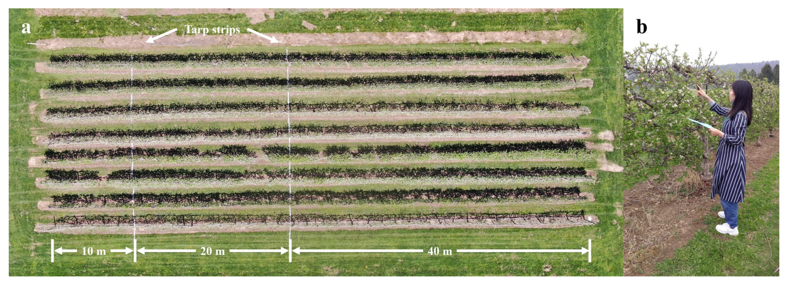 Horticulturae 09 00266 g002