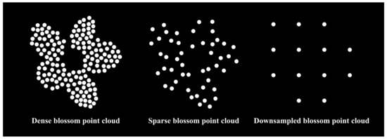 Horticulturae 09 00266 g0a7