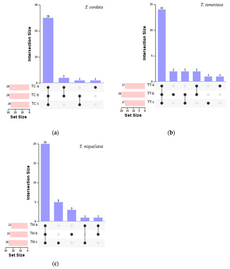 Horticulturae 09 00286 g002 550