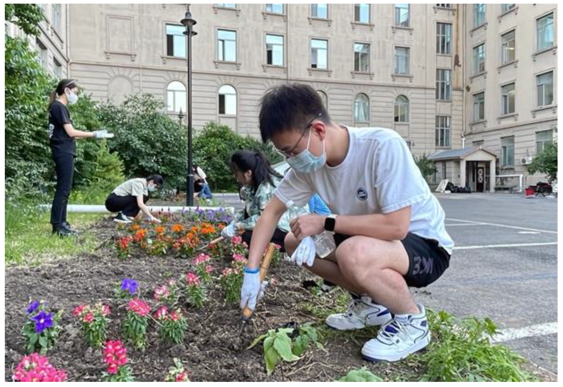 Horticulturae 09 00334 g001