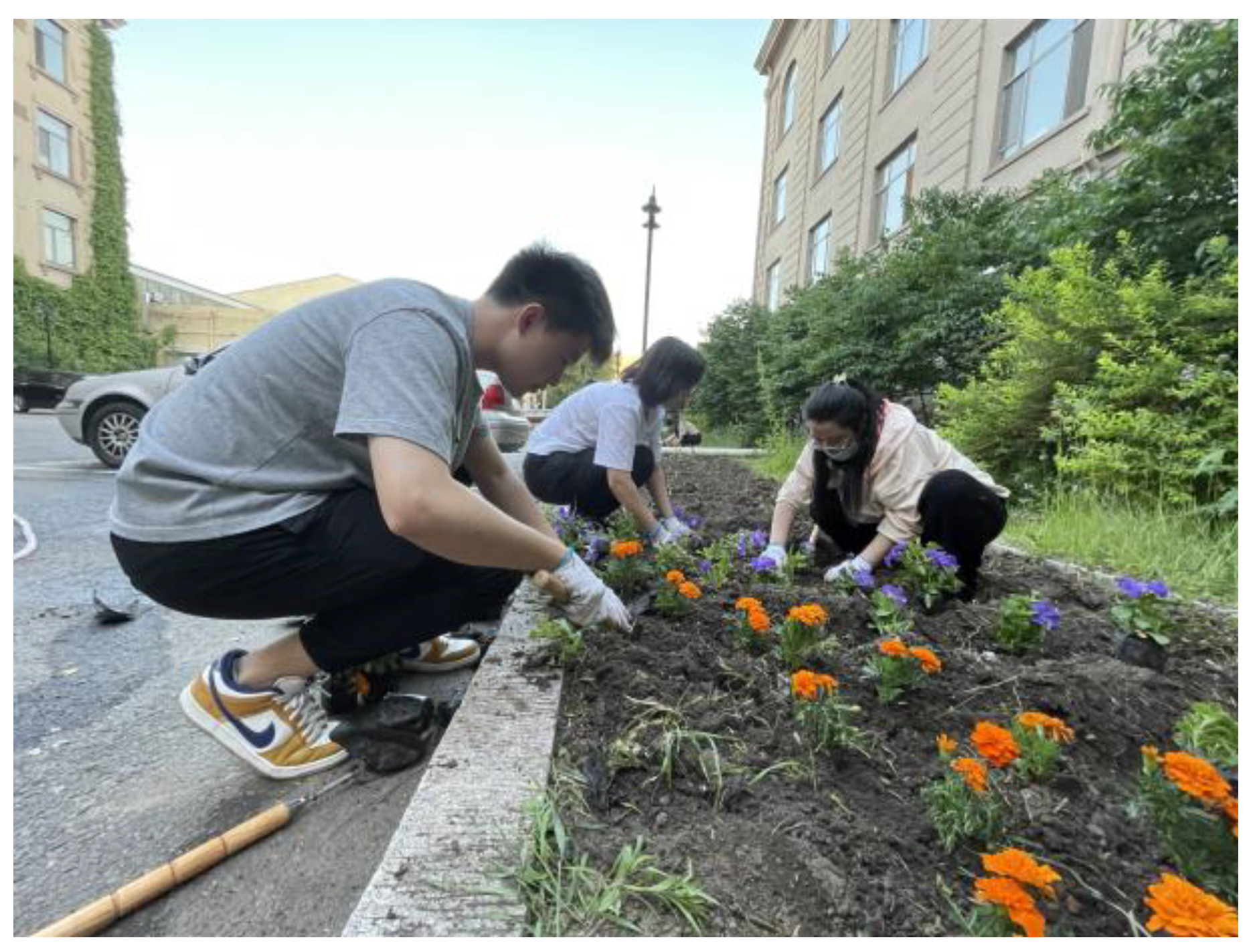 Horticulturae 09 00334 g002