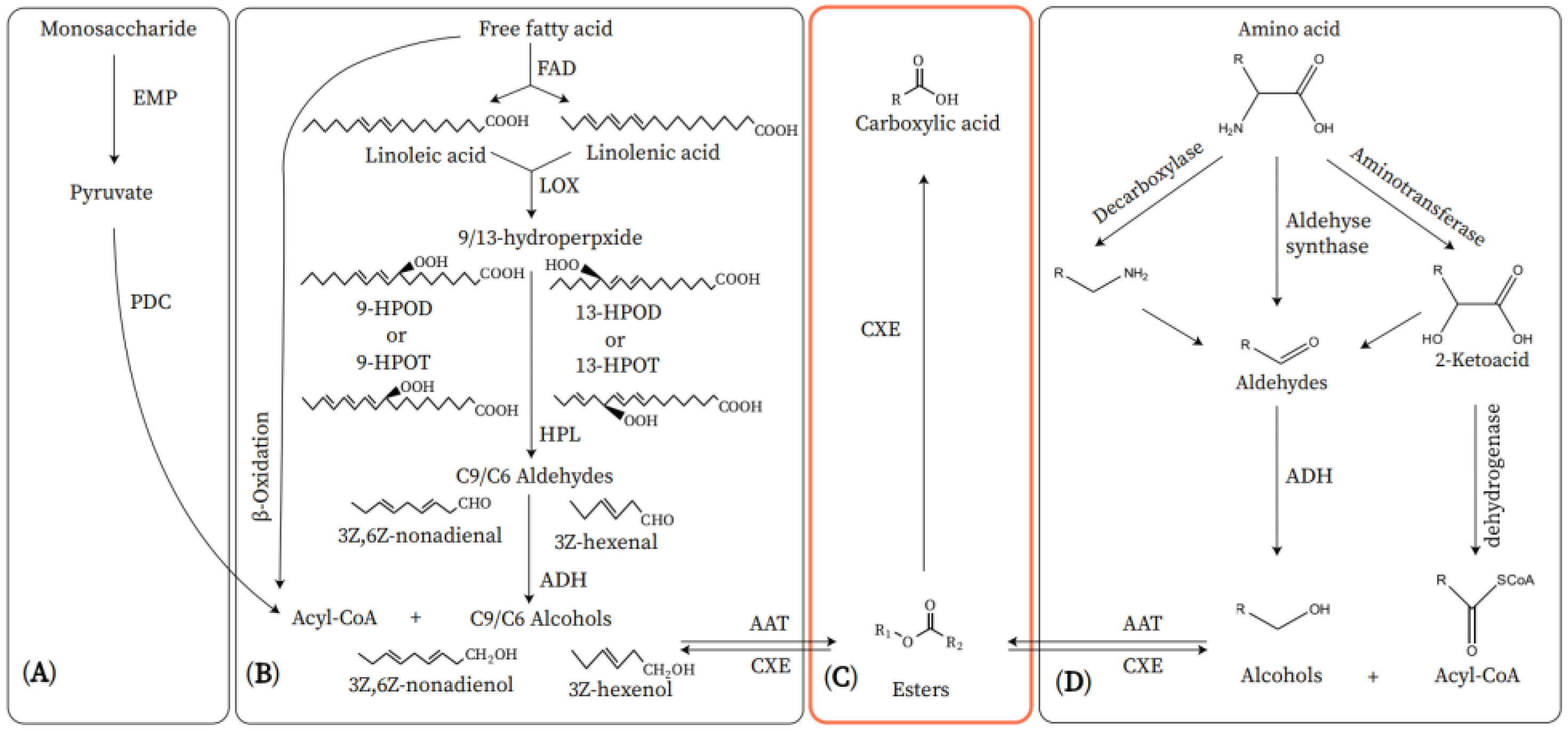 Horticulturae 09 00339 g001