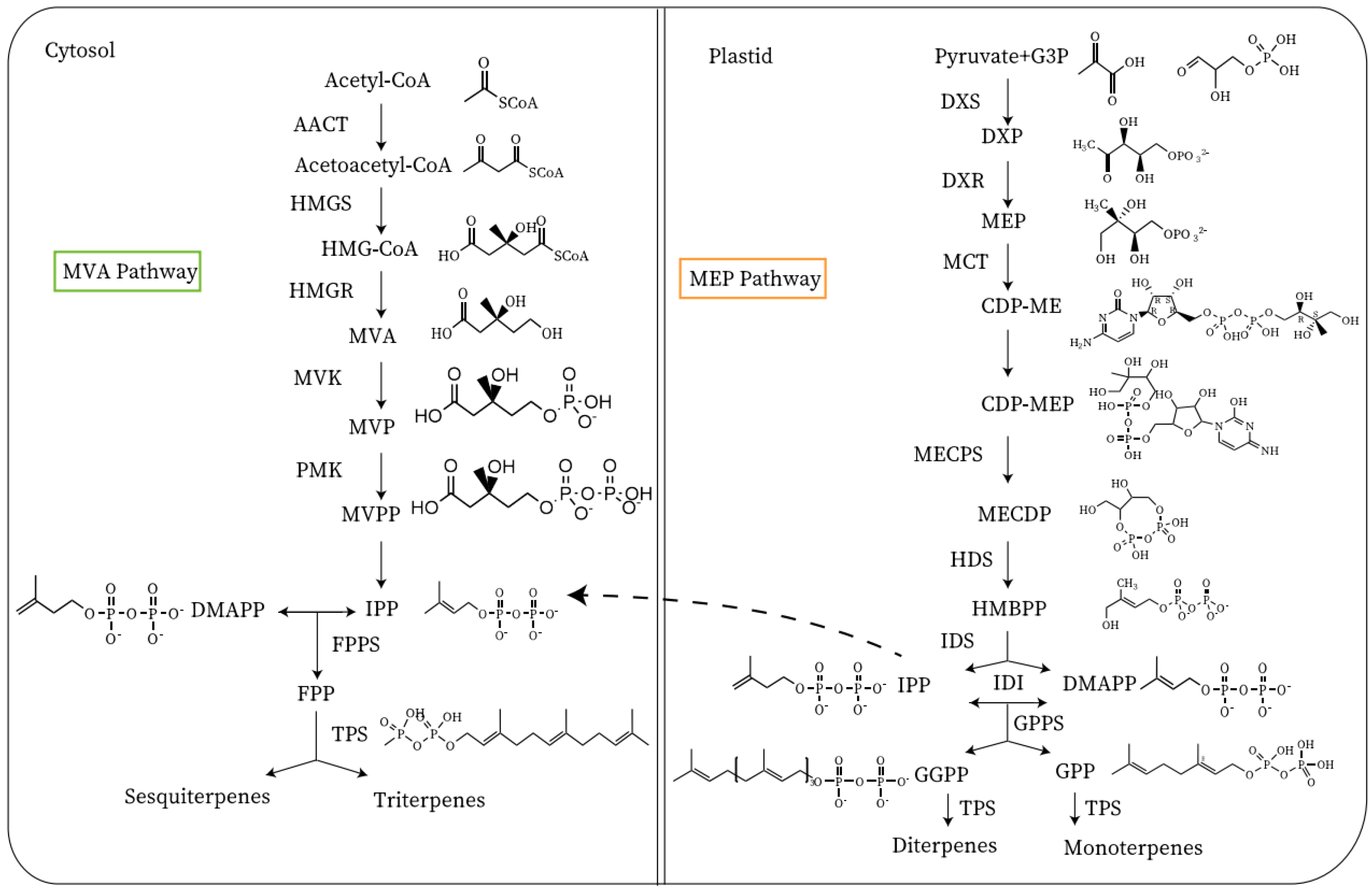 Horticulturae 09 00339 g002