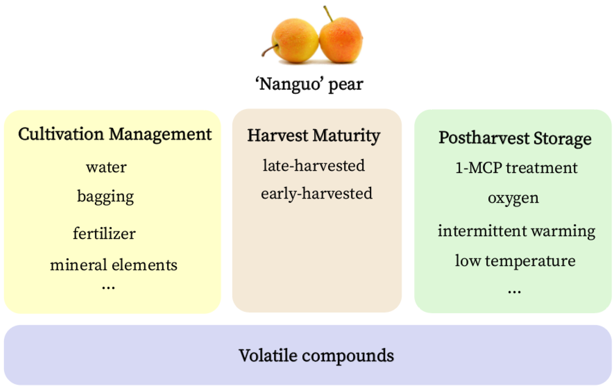 Horticulturae 09 00339 g003