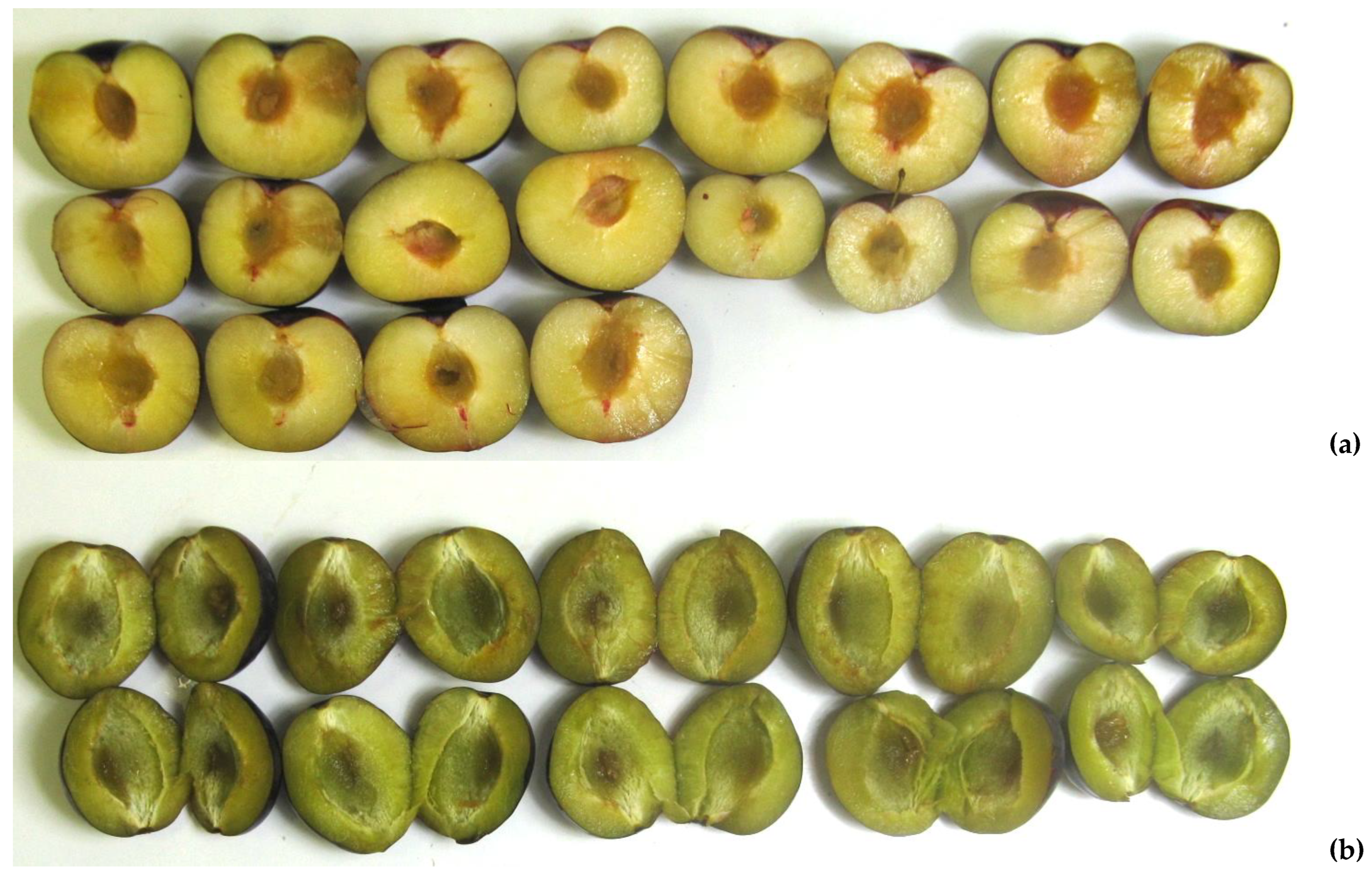 Horticulturae 09 00341 g006