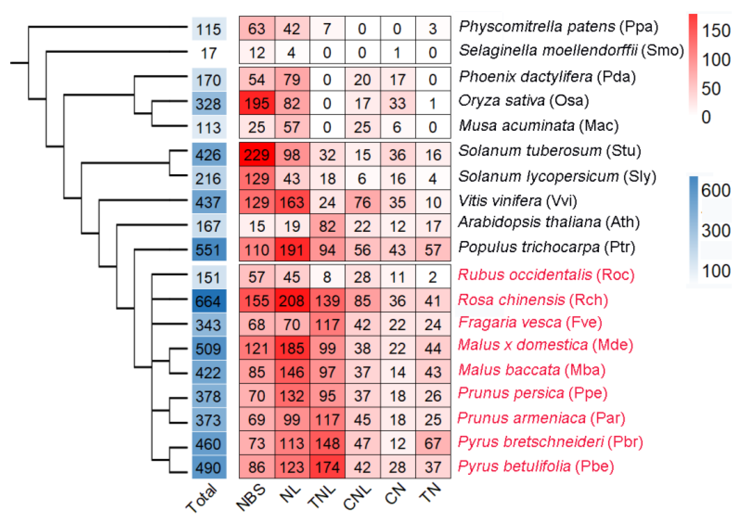 Horticulturae 09 00345 g001
