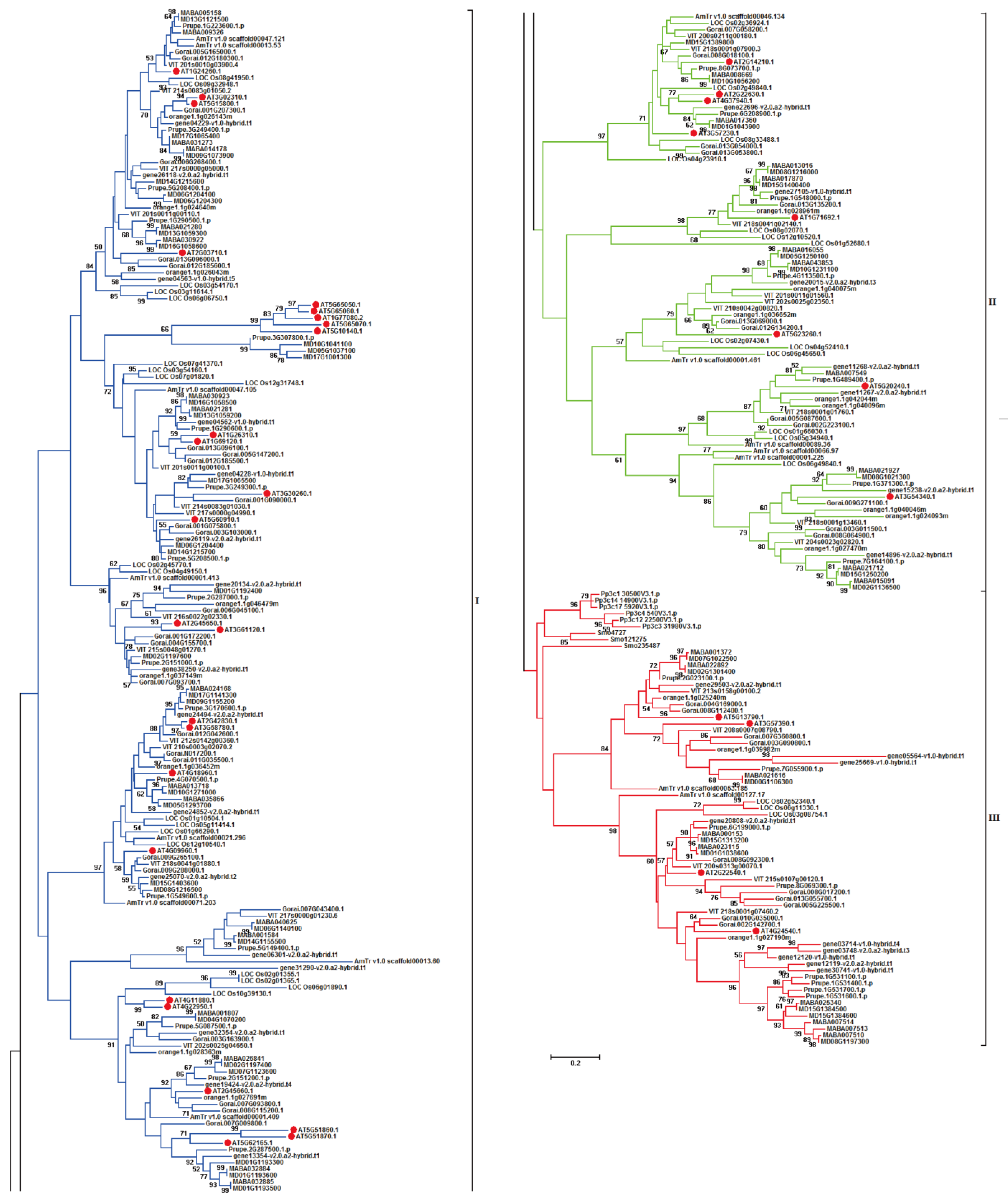 Horticulturae 09 00373 g001 Horticulturae 09 00373 g001