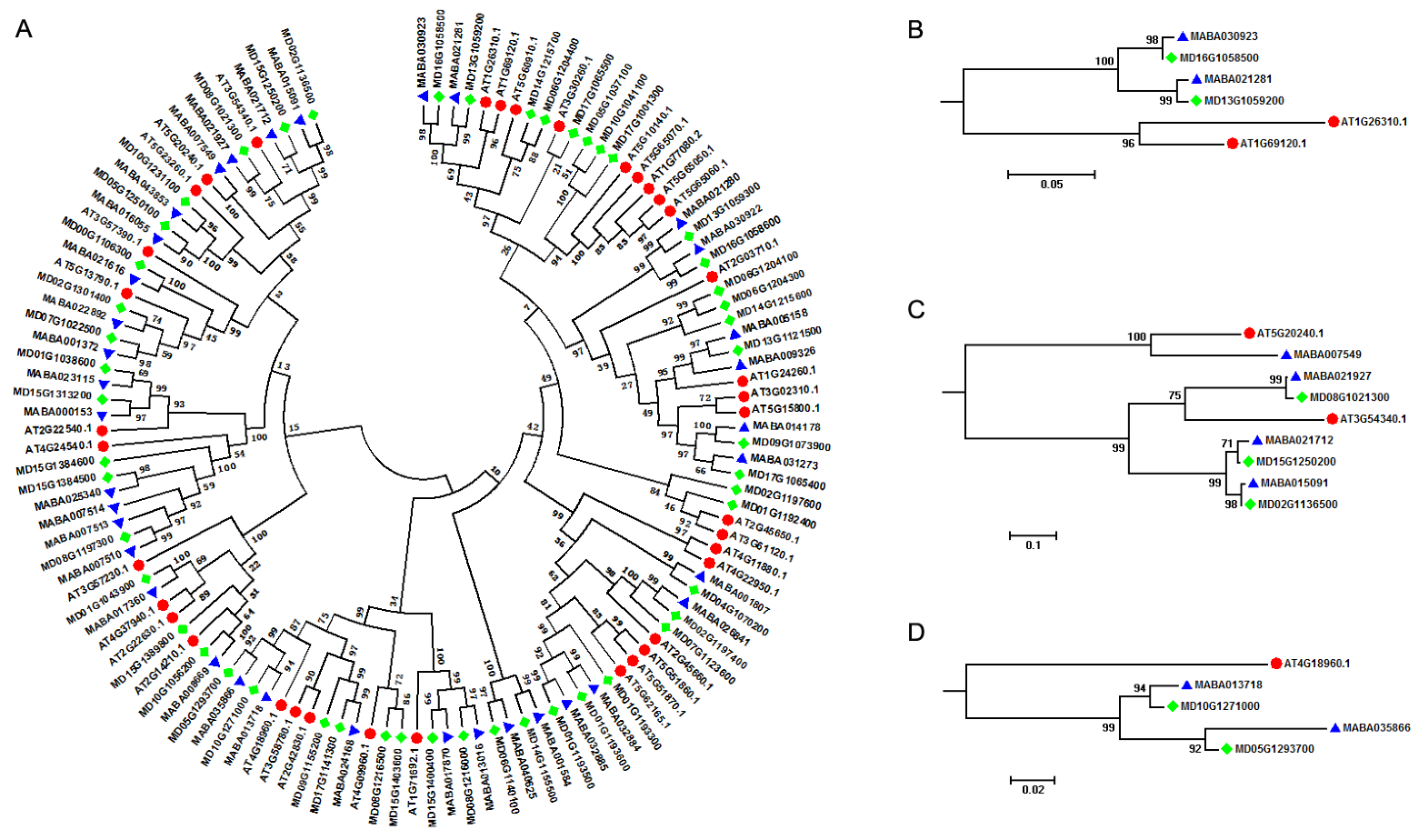 Horticulturae 09 00373 g002 Horticulturae 09 00373 g002