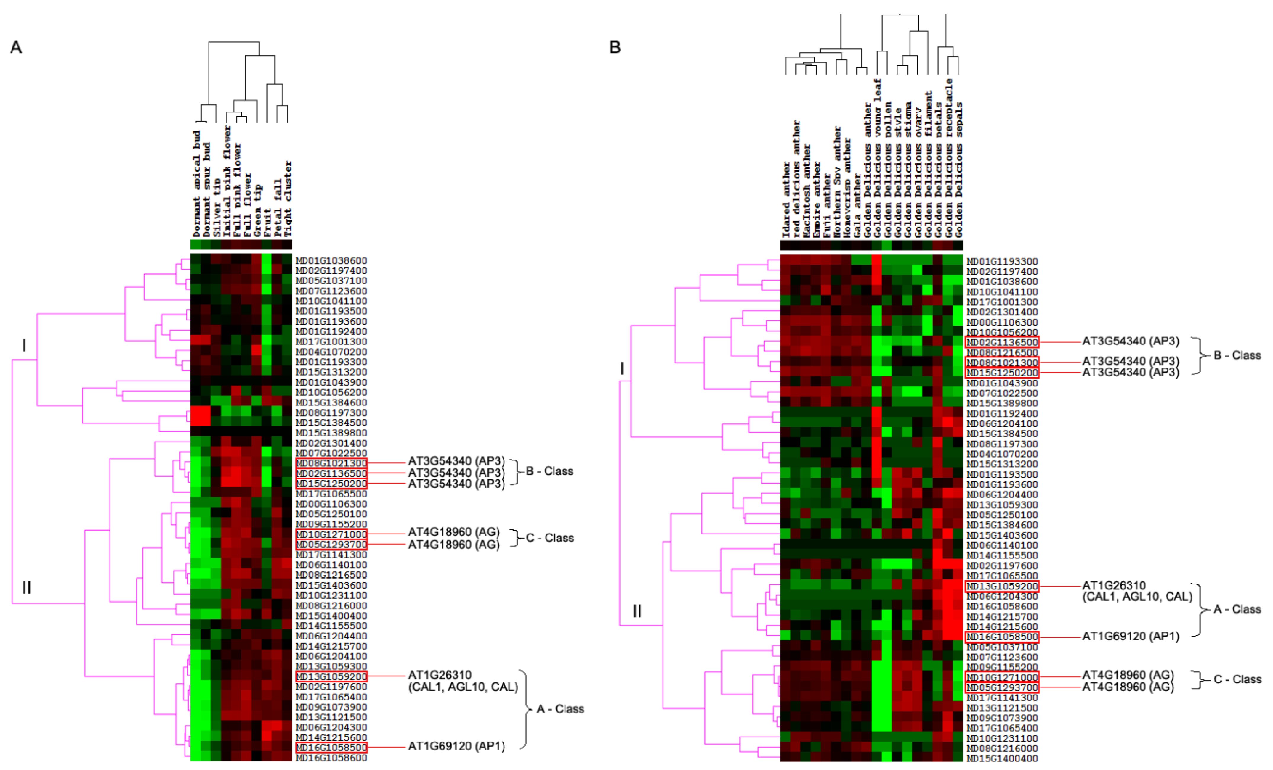 Horticulturae 09 00373 g004 Horticulturae 09 00373 g004