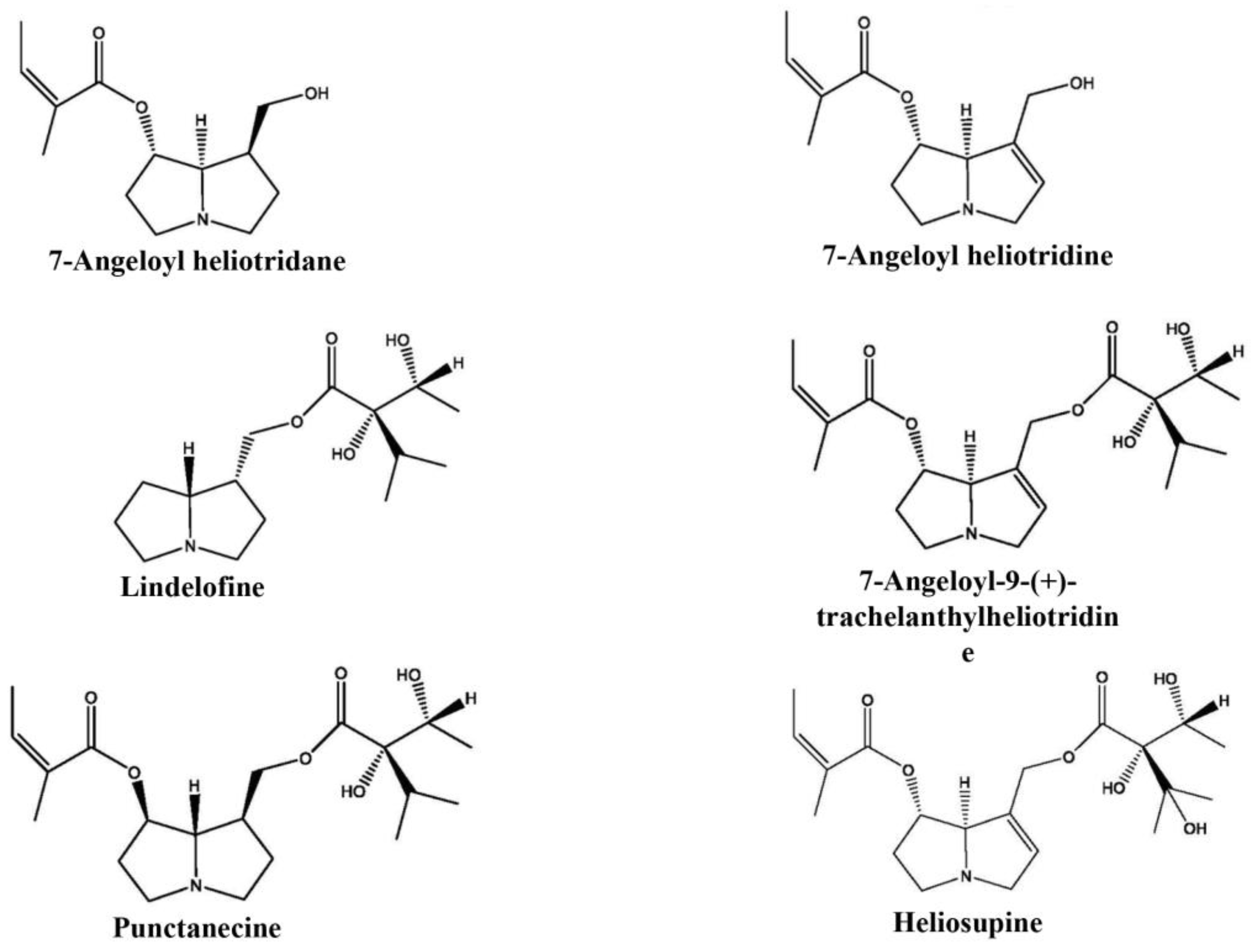 Horticulturae 09 00381 g003