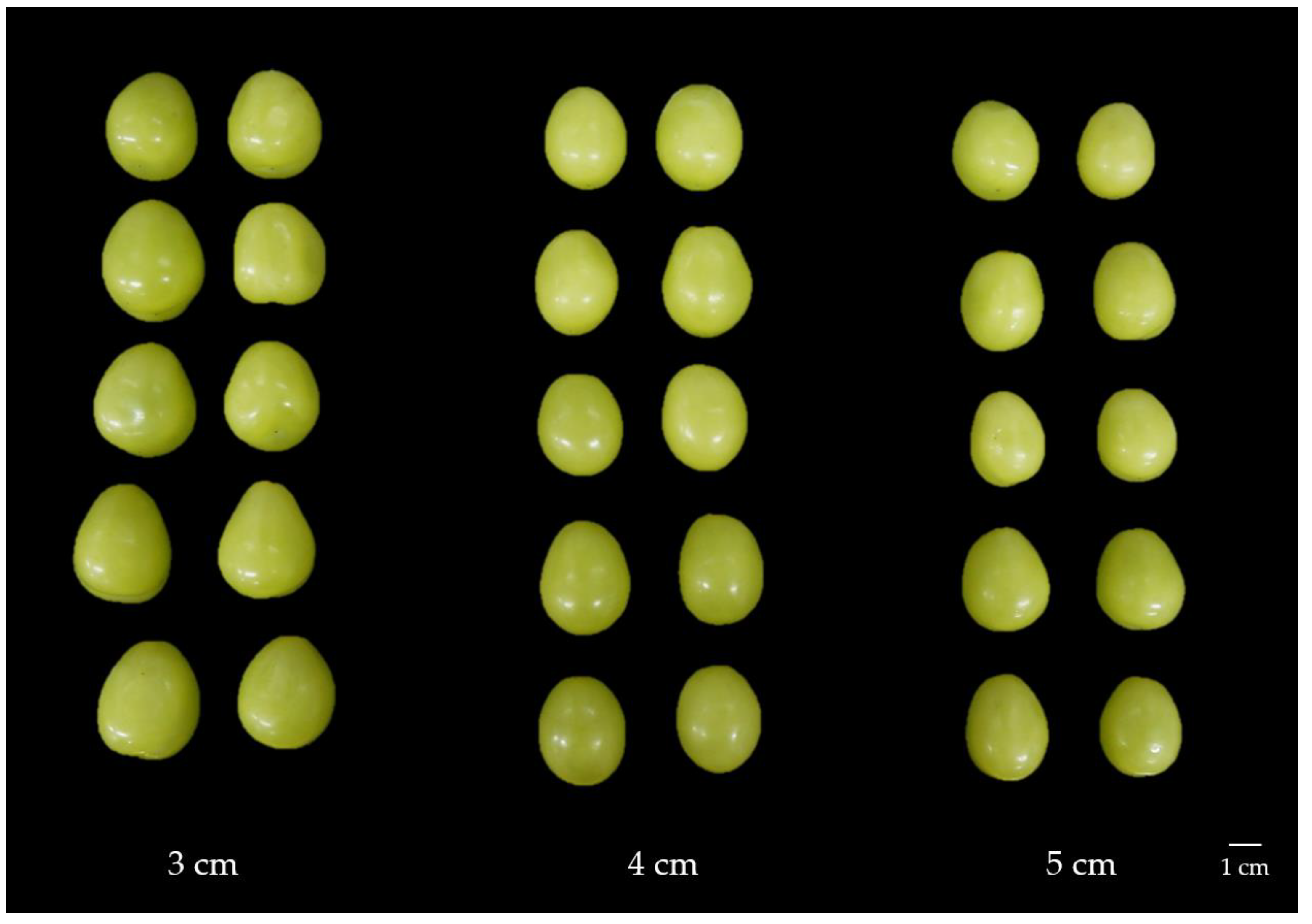 Horticulturae 09 00392 g005