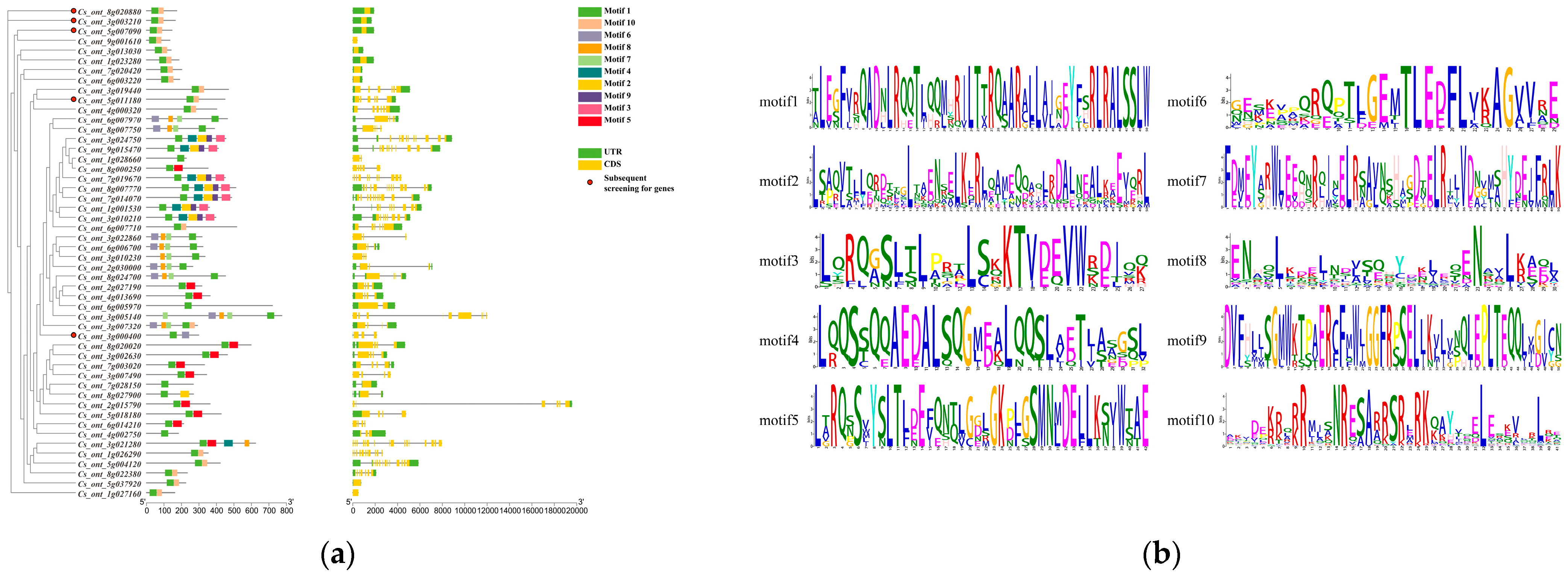 Horticulturae 09 00393 g002