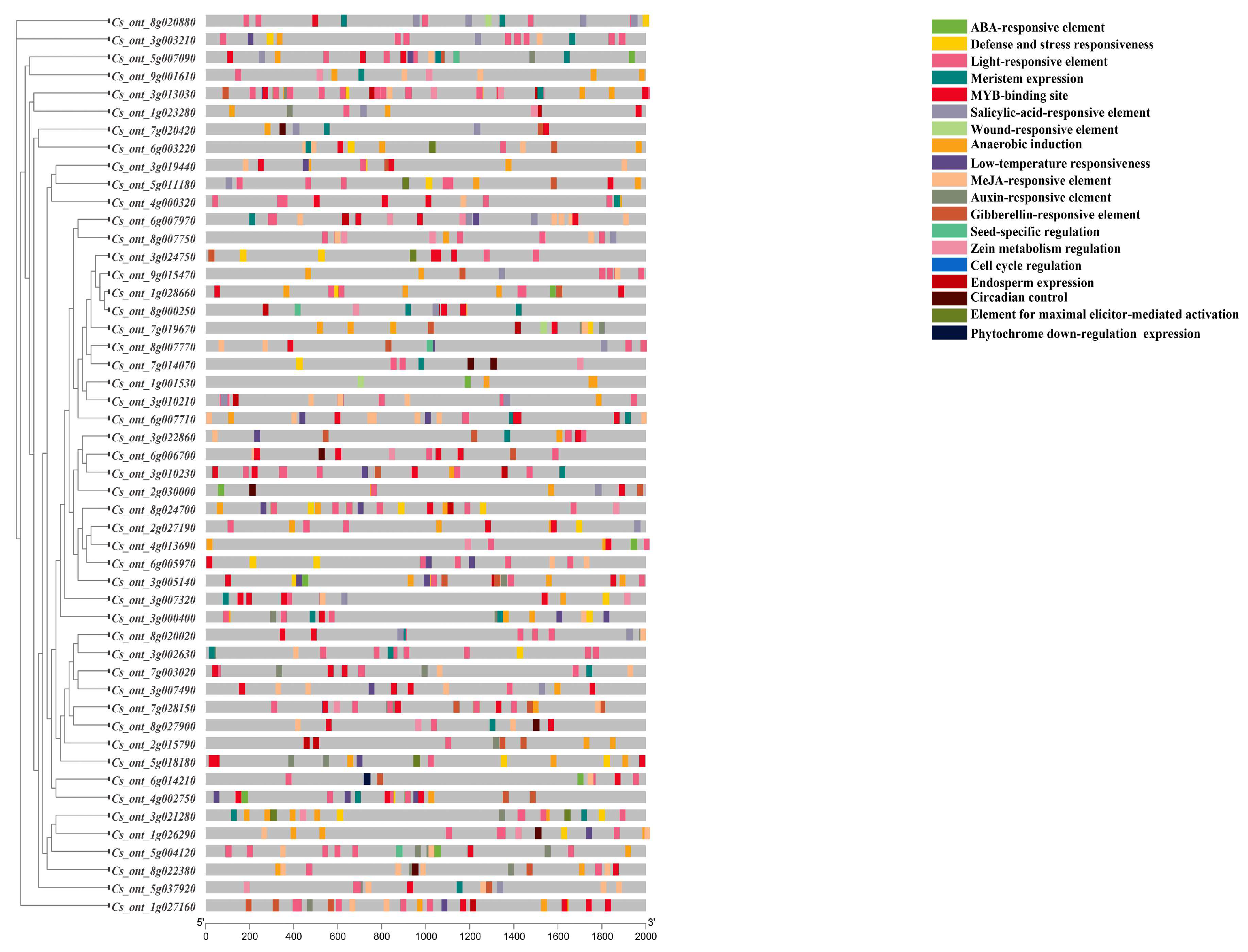 Horticulturae 09 00393 g003