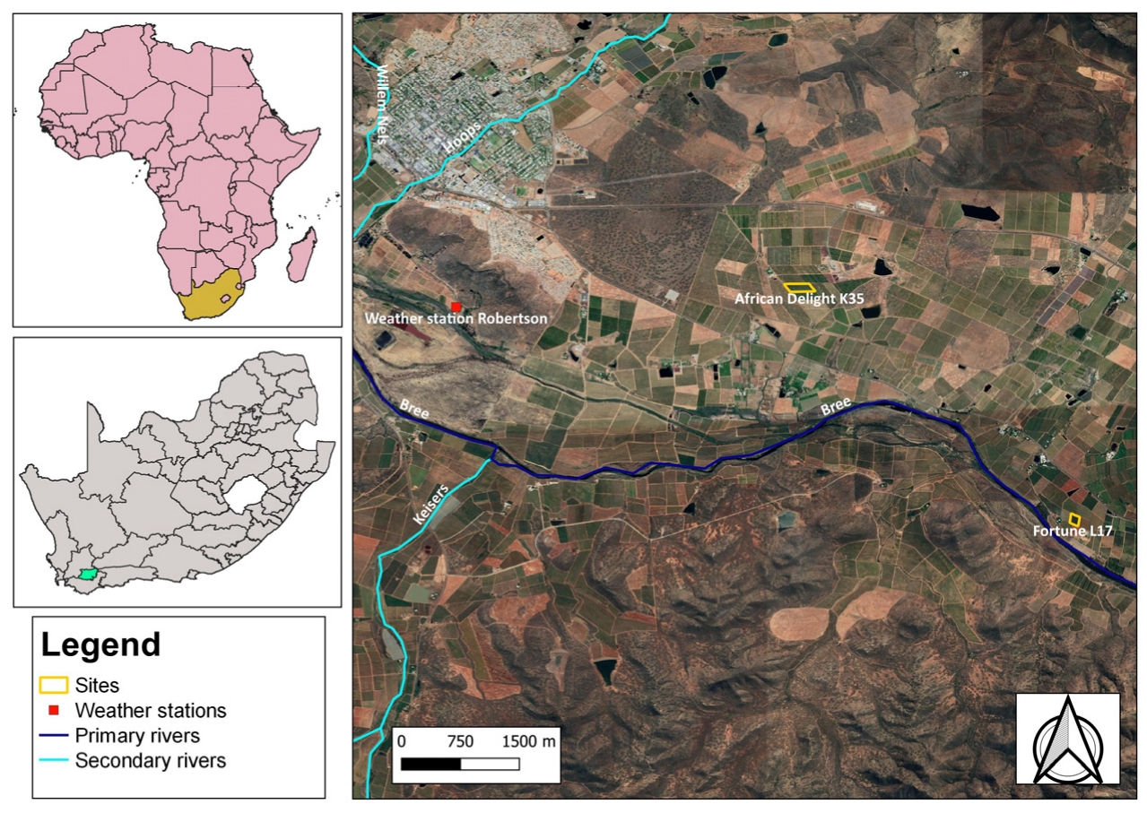 Horticulturae 09 00395 g001a Horticulturae 09 00395 g001a