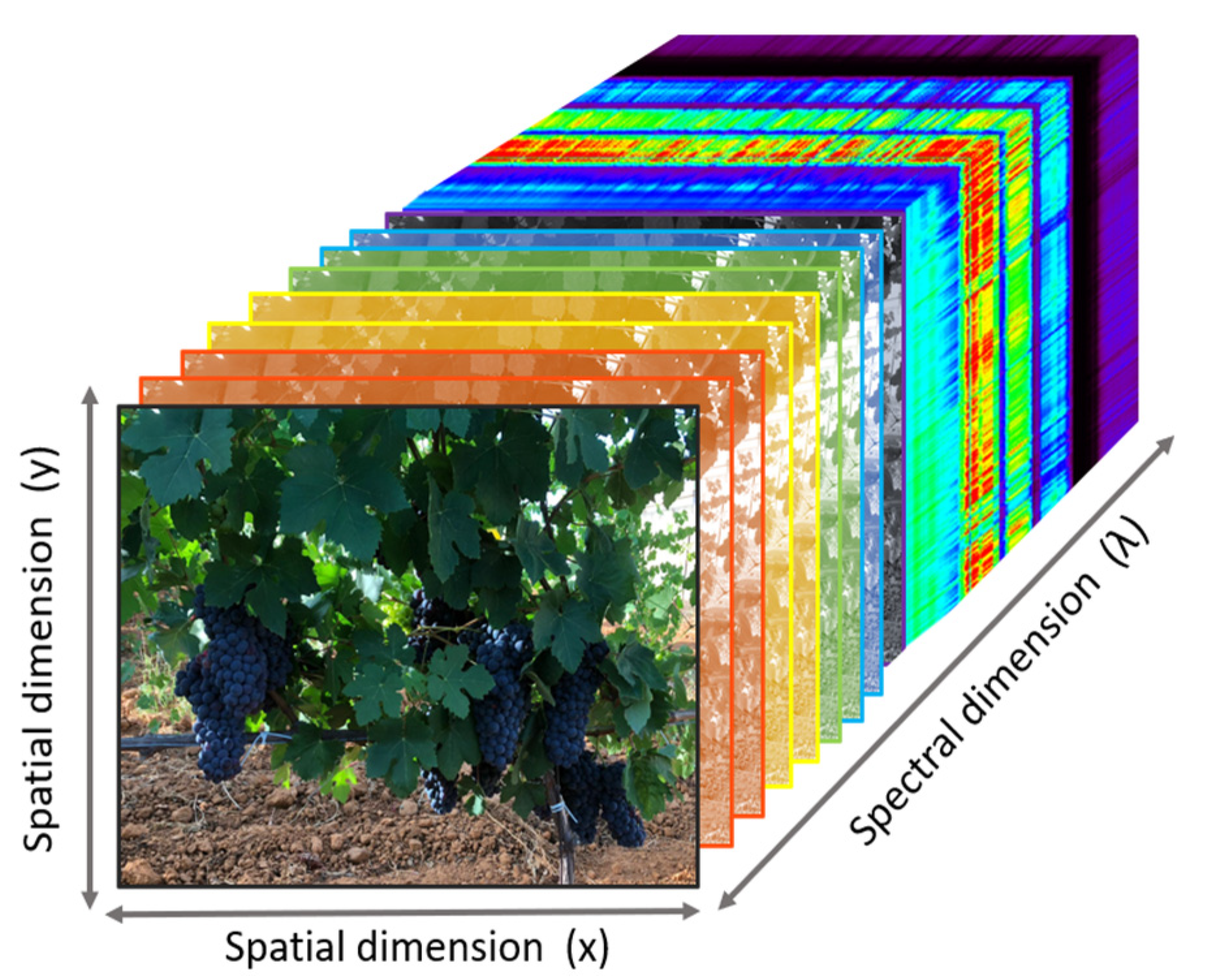 Horticulturae 09 00399 g003