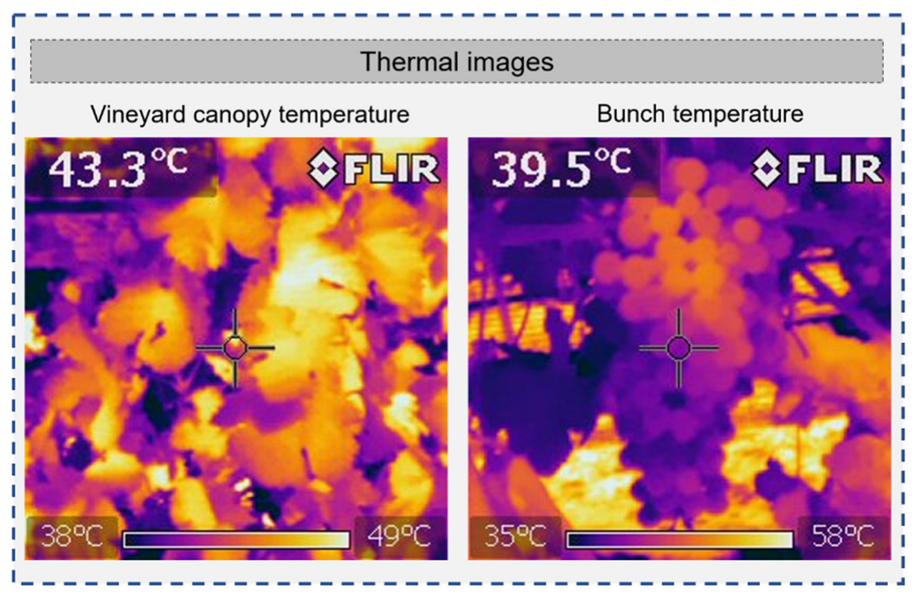 Horticulturae 09 00399 g004