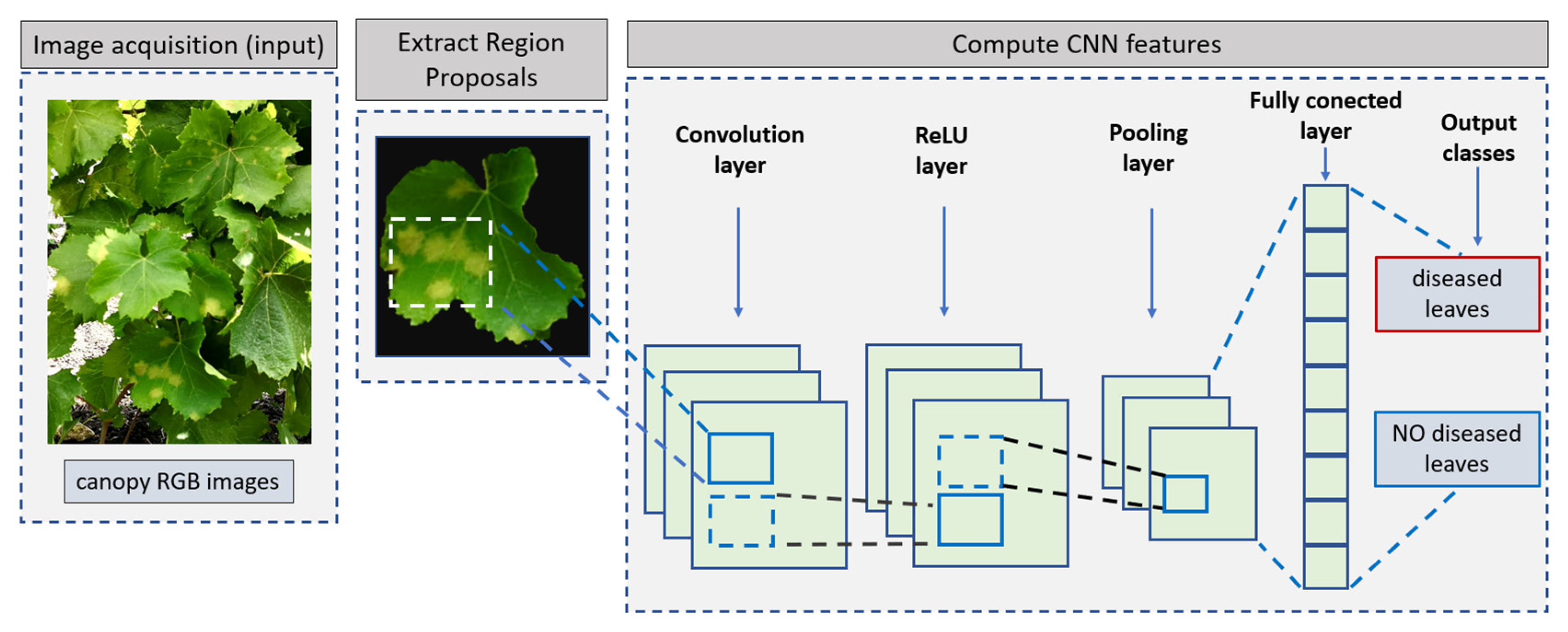 Horticulturae 09 00399 g012