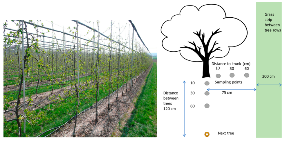 Horticulturae 09 00405 g003