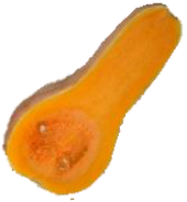 Horticulturae 09 00409 i002 Horticulturae 09 00409 i002