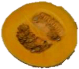 Horticulturae 09 00409 i004 Horticulturae 09 00409 i004