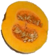 Horticulturae 09 00409 i008 Horticulturae 09 00409 i008