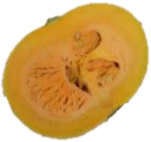 Horticulturae 09 00409 i010 Horticulturae 09 00409 i010