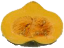 Horticulturae 09 00409 i014 Horticulturae 09 00409 i014