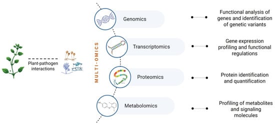 Horticulturae 09 00423 g001