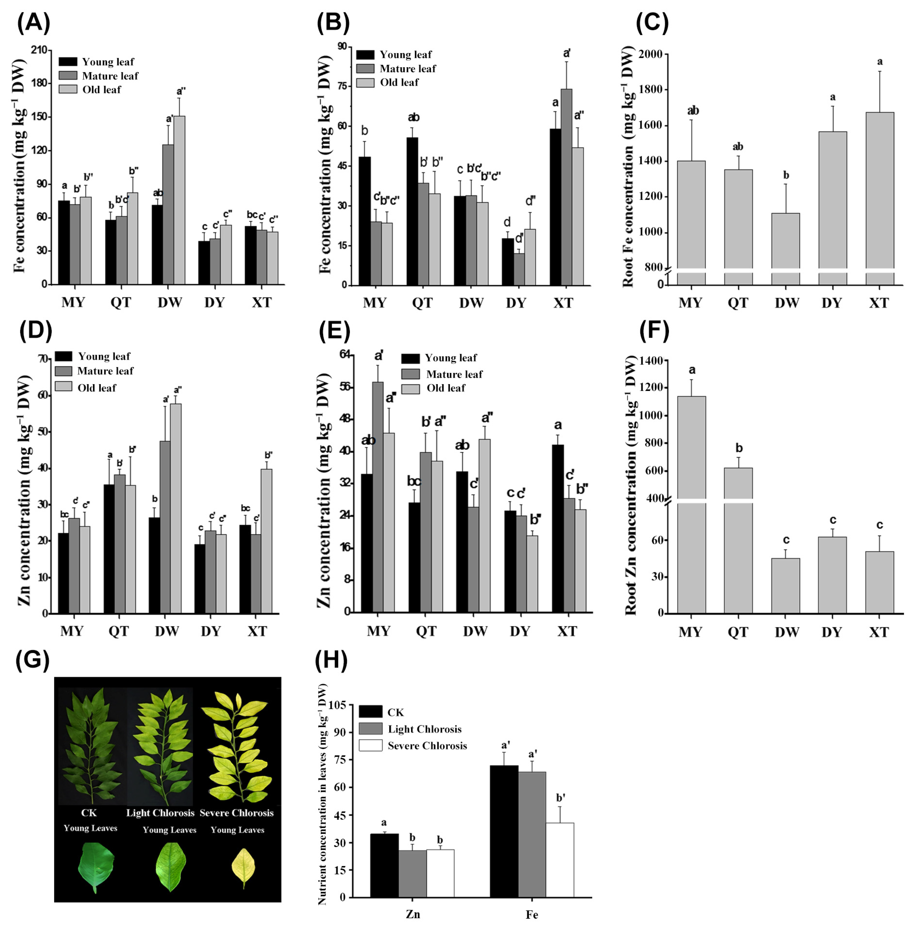 Horticulturae 09 00437 g002