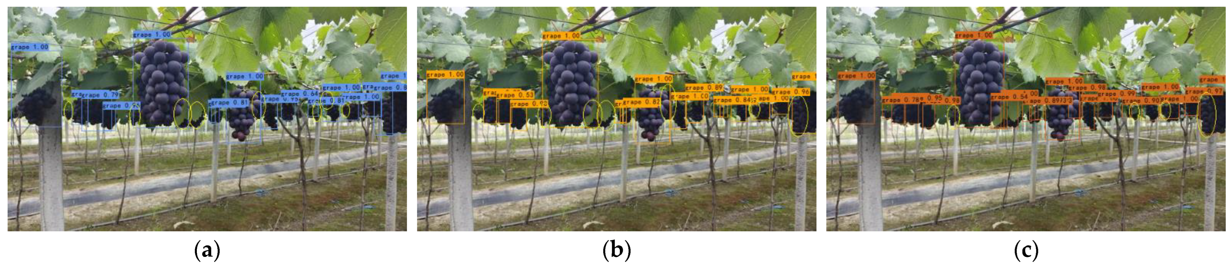 Horticulturae 09 00443 g015