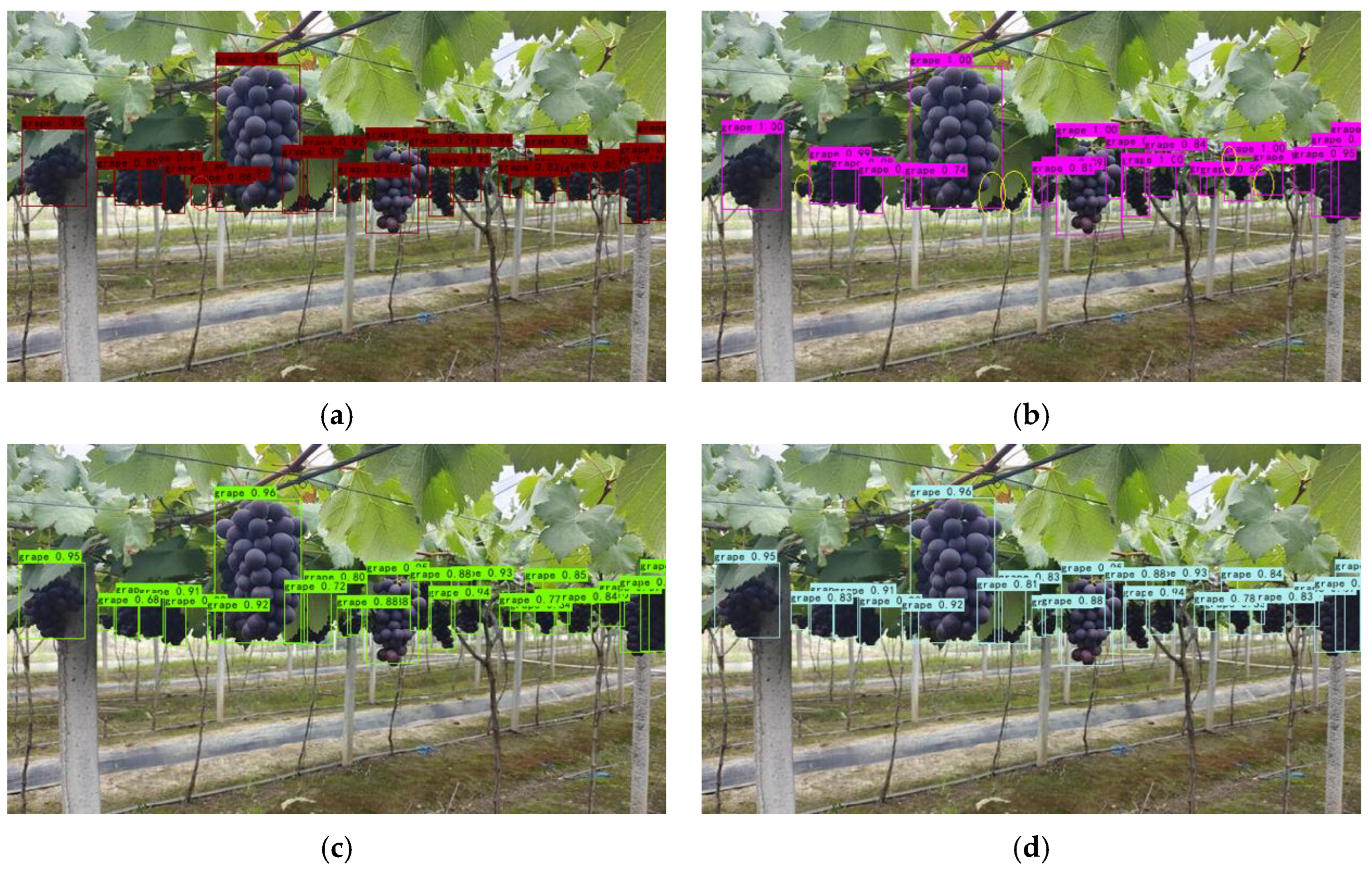 Horticulturae 09 00443 g016