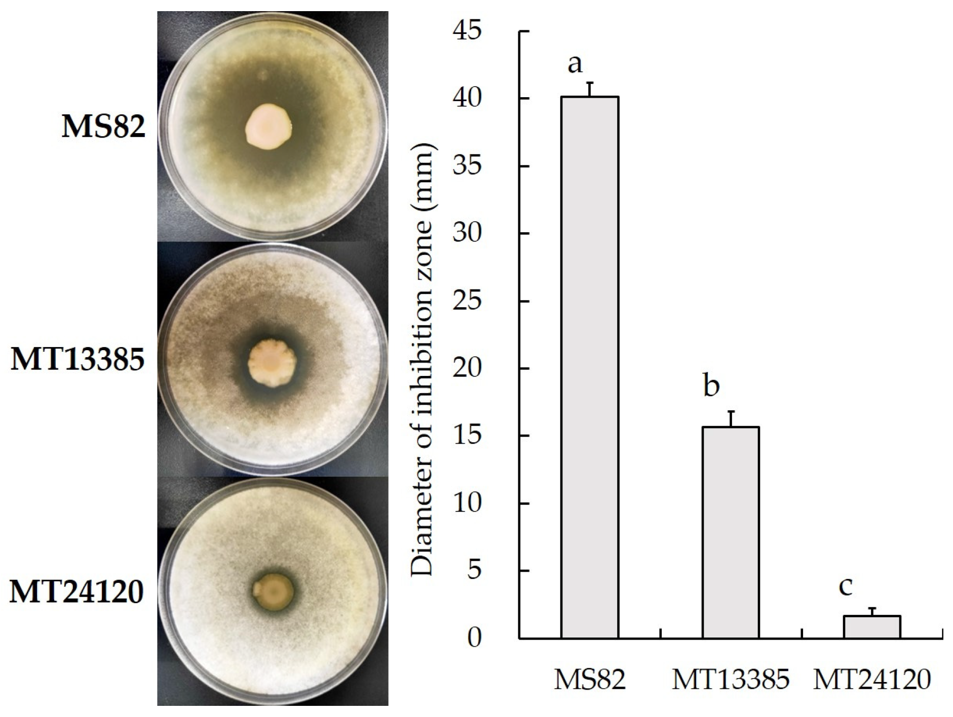 Horticulturae 09 00446 g002