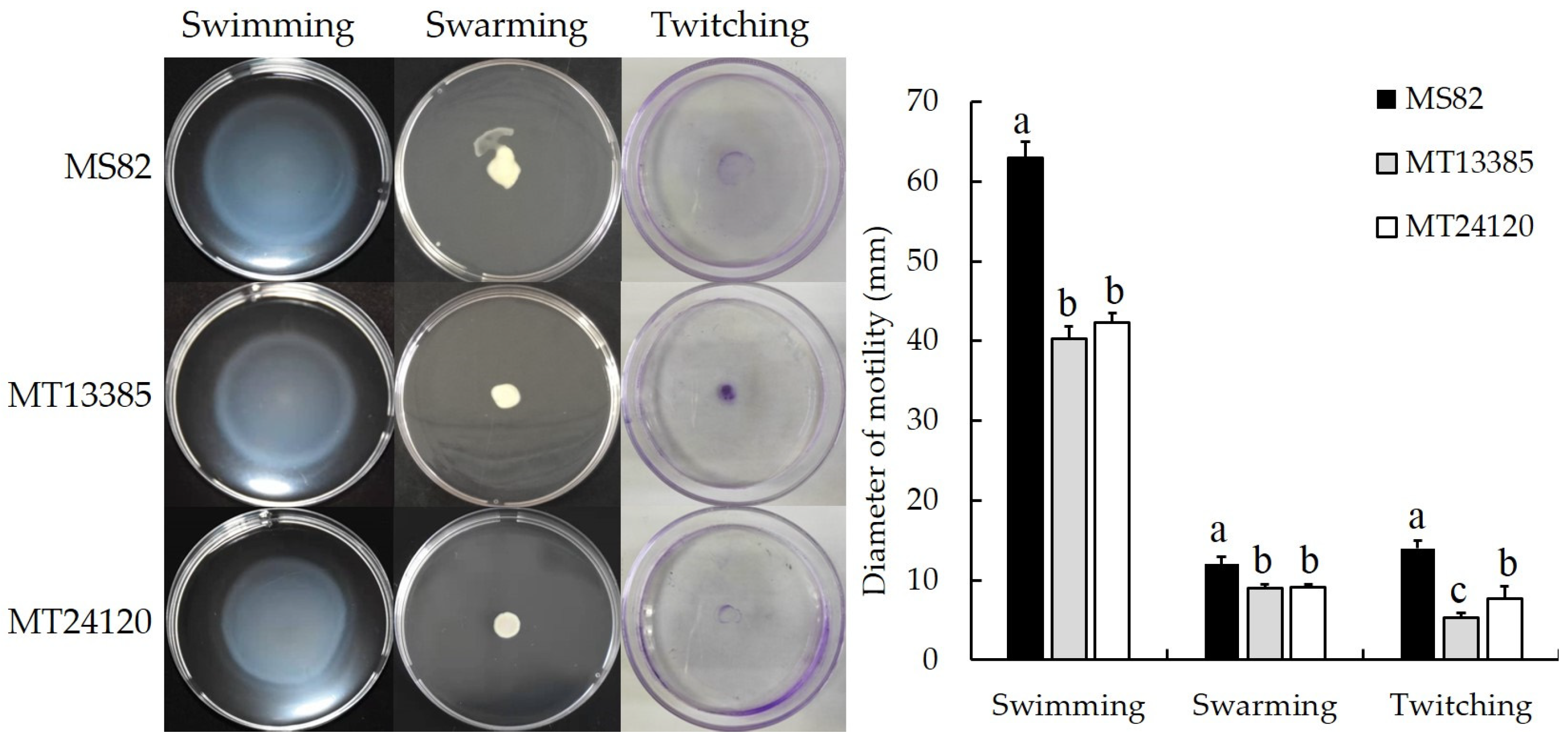 Horticulturae 09 00446 g005
